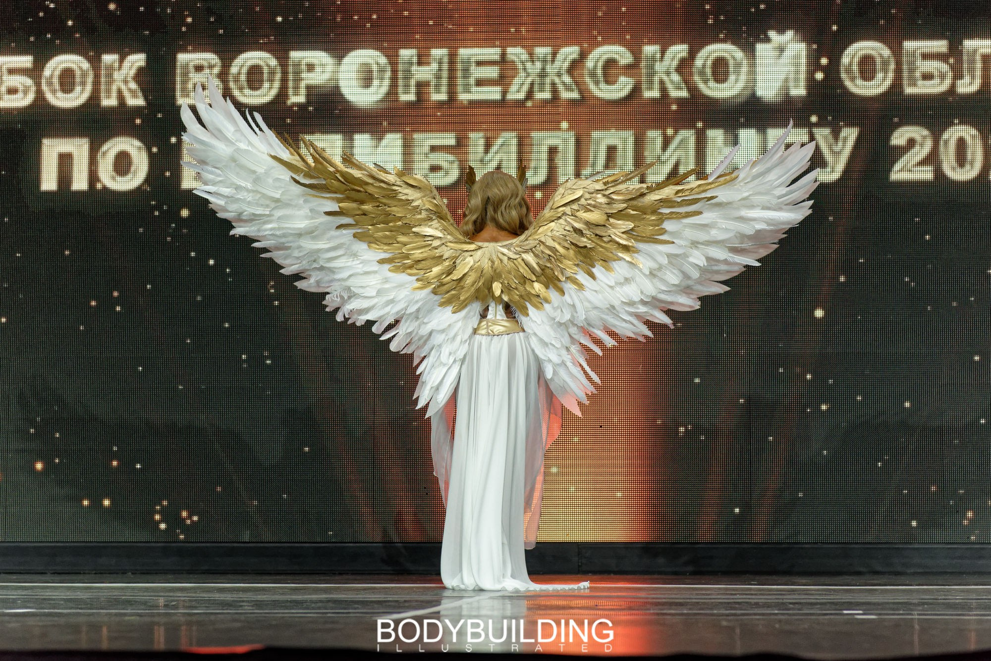 Bodybuilding Illustrated