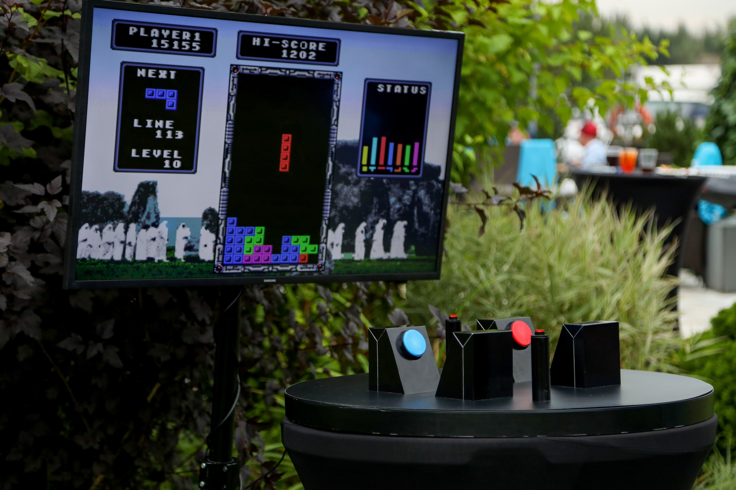 Фасадные решения — Регата. Фотограф Антон Чупринин