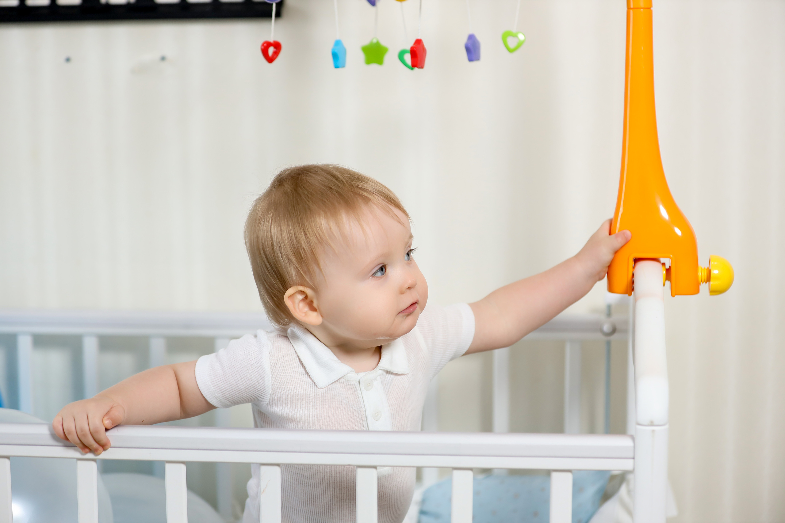 Годовасие. Фотограф Антон Чупринин