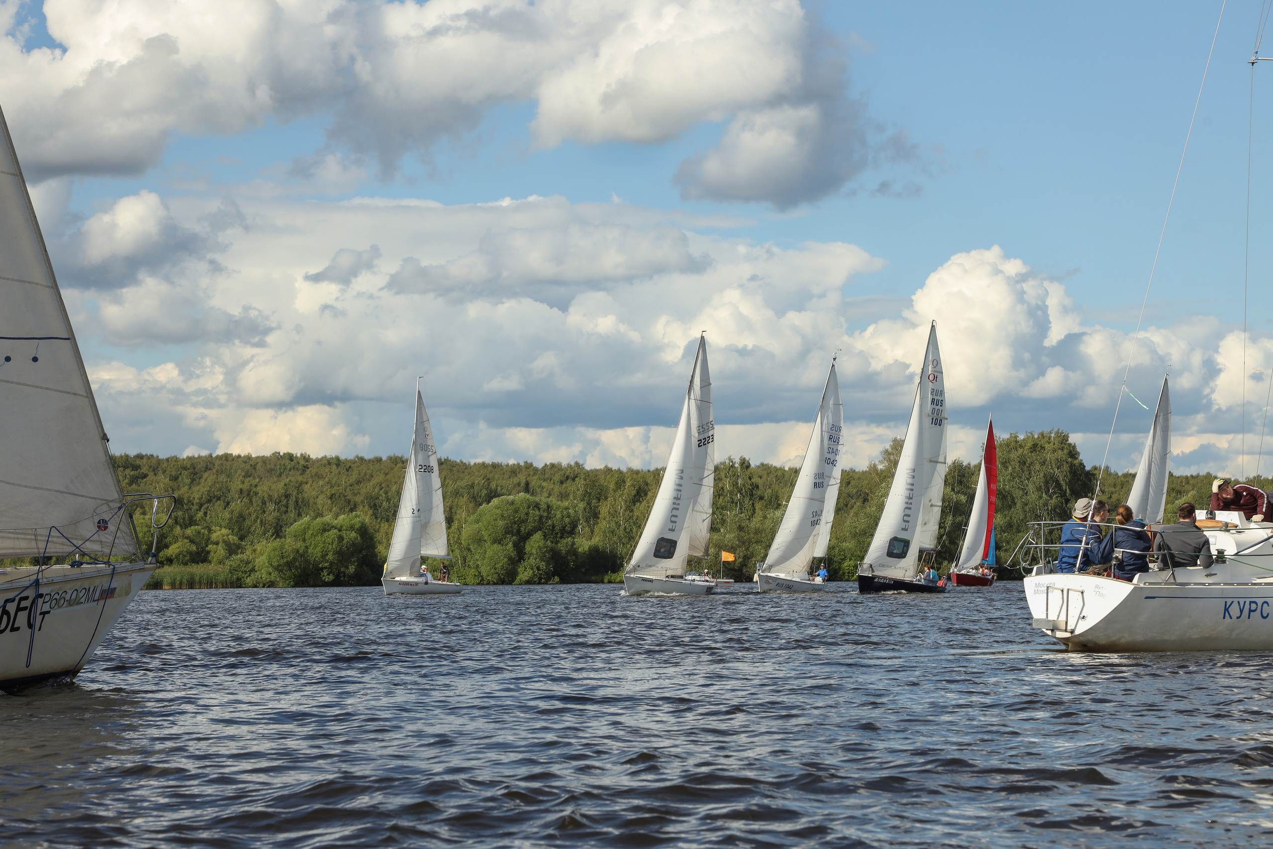 DIS регата 2023. Фотограф Антон Чупринин