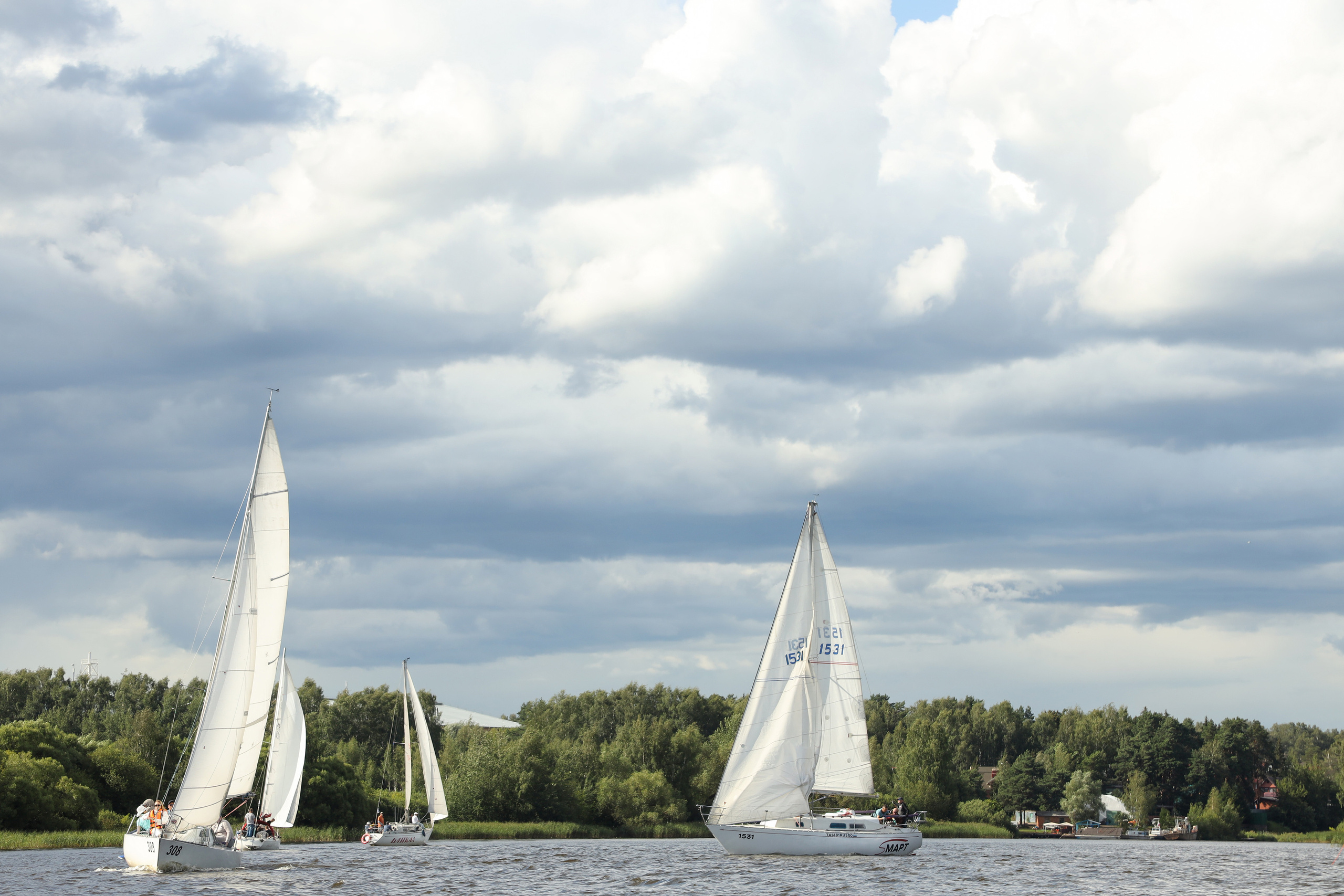 DIS регата 2023. Фотограф Антон Чупринин