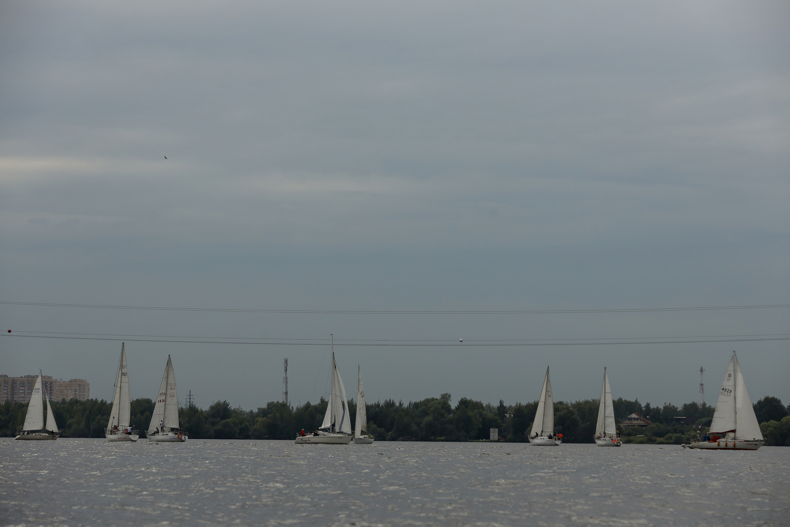 Фасадные решения — Регата. Фотограф Антон Чупринин