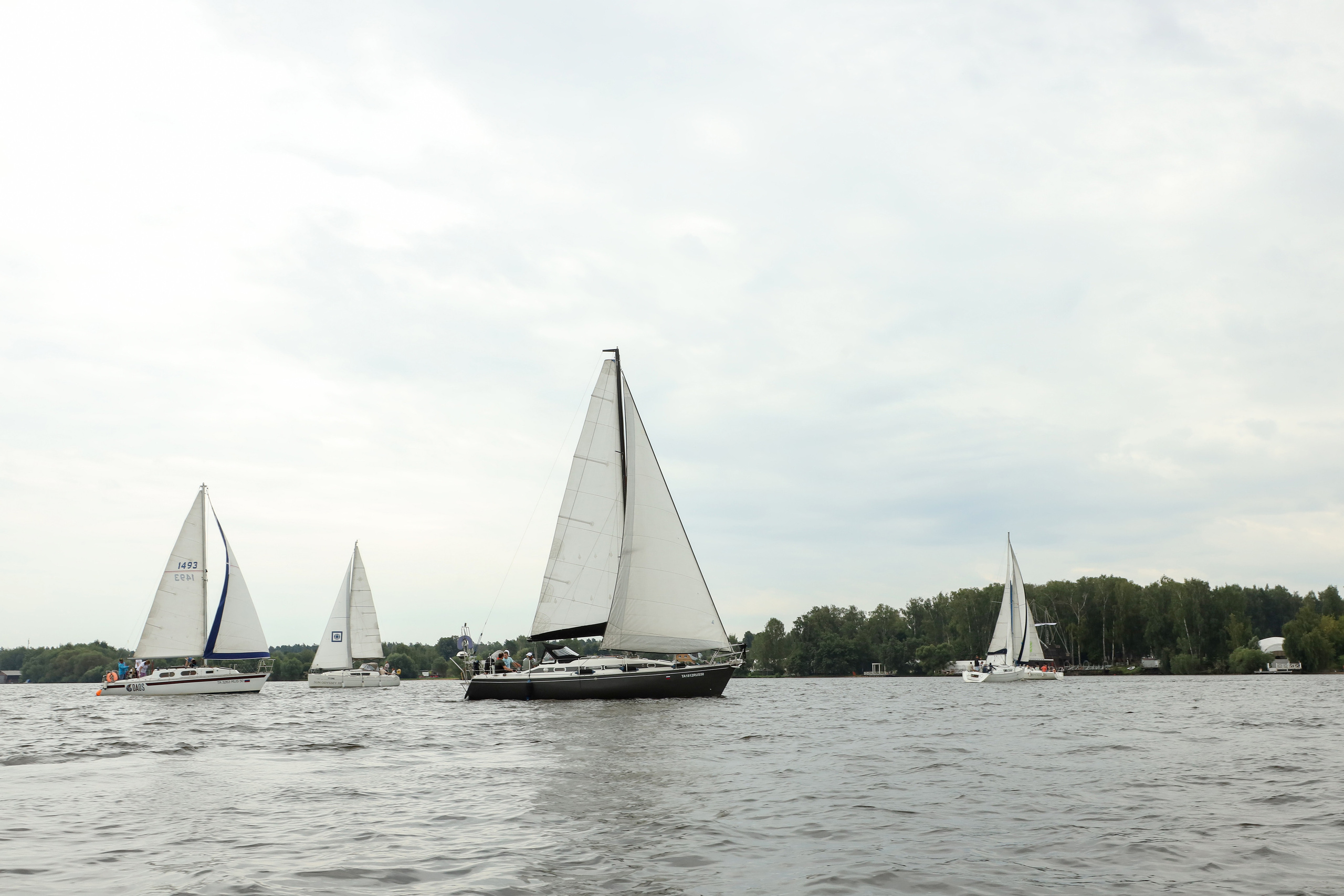 Фасадные решения — Регата. Фотограф Антон Чупринин