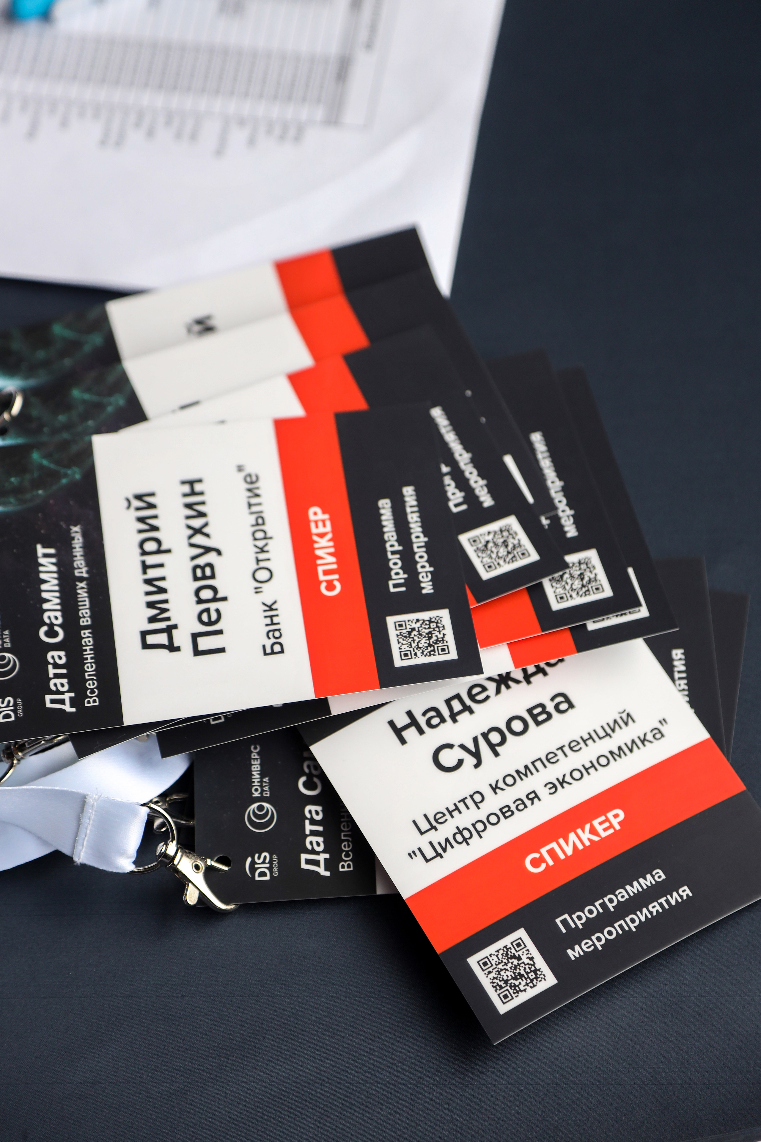 Дата Саммит. Фотограф Антон Чупринин