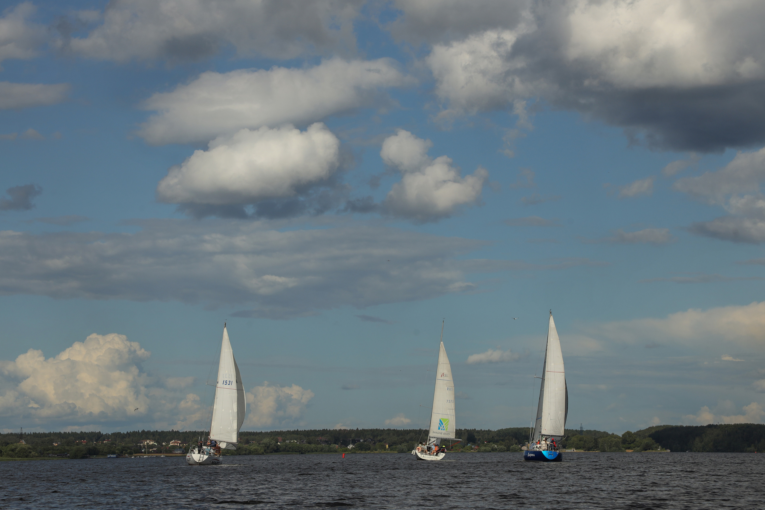 DIS регата 2023. Фотограф Антон Чупринин