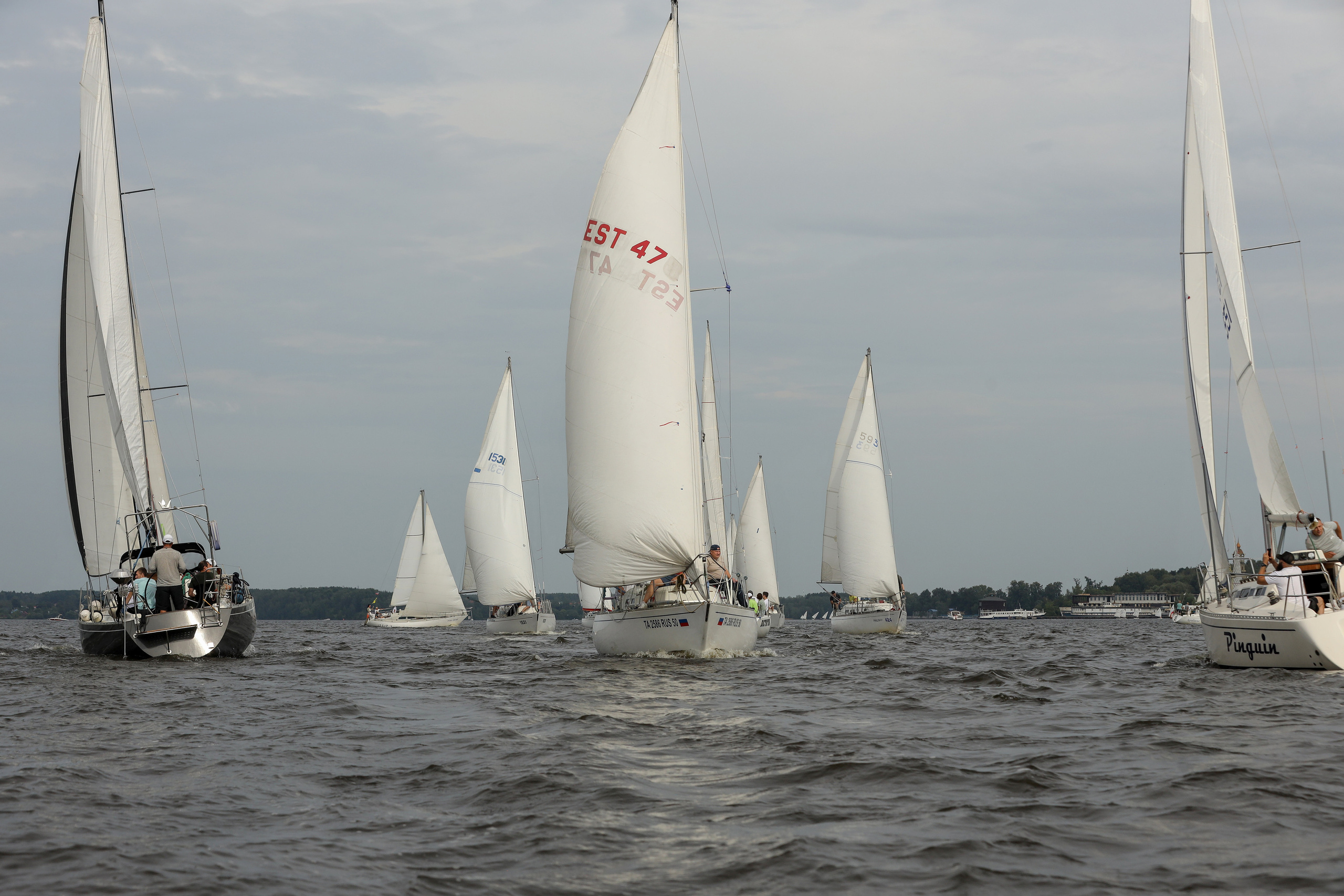 Фасадные решения — Регата. Фотограф Антон Чупринин