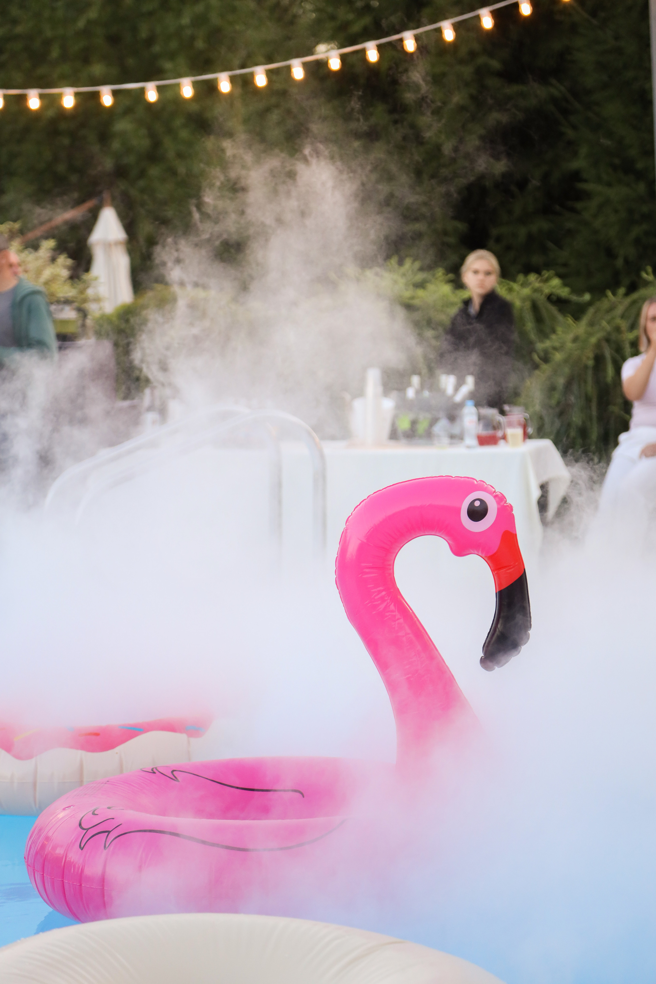 DIS регата 2023. Фотограф Антон Чупринин