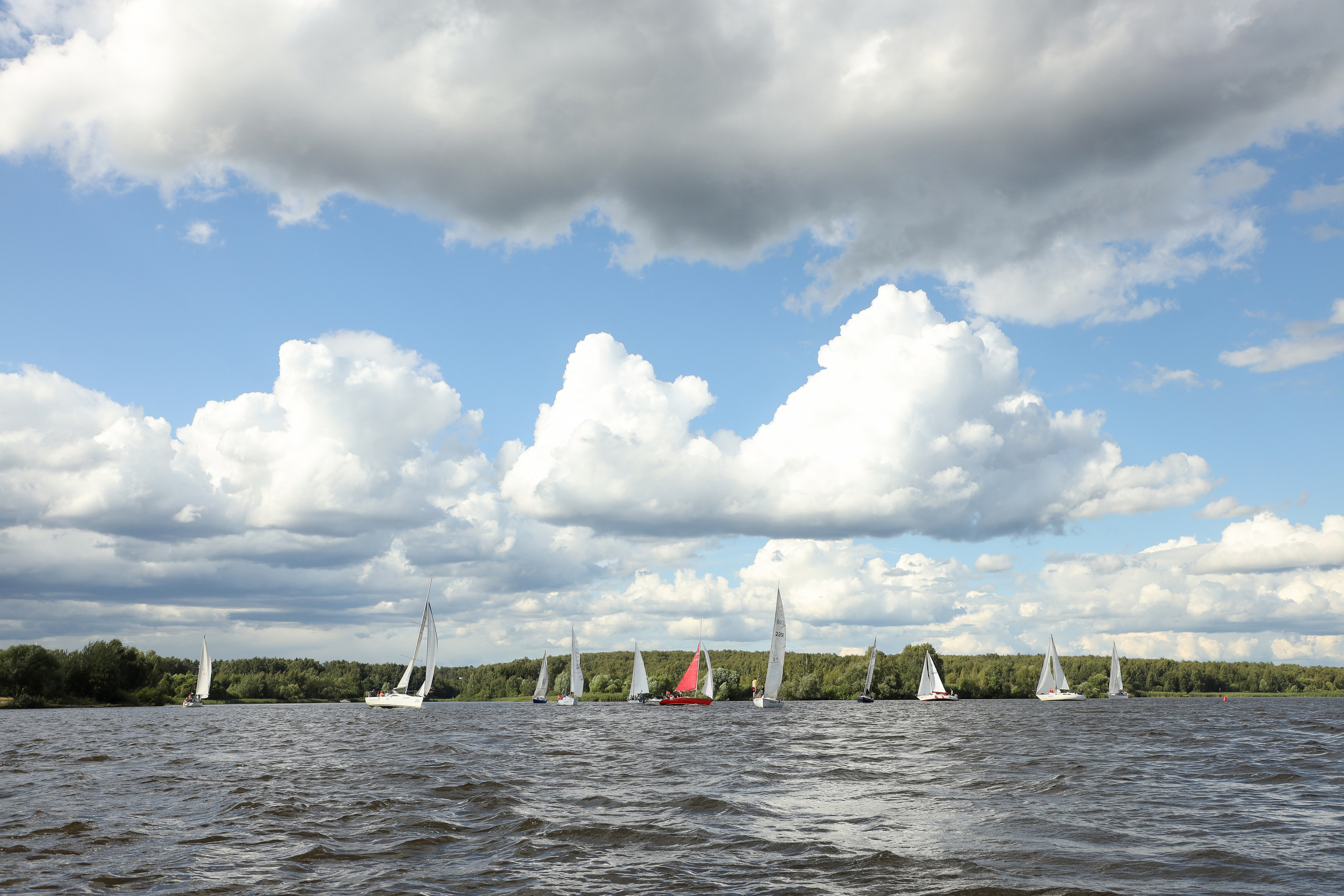 DIS регата 2023. Фотограф Антон Чупринин