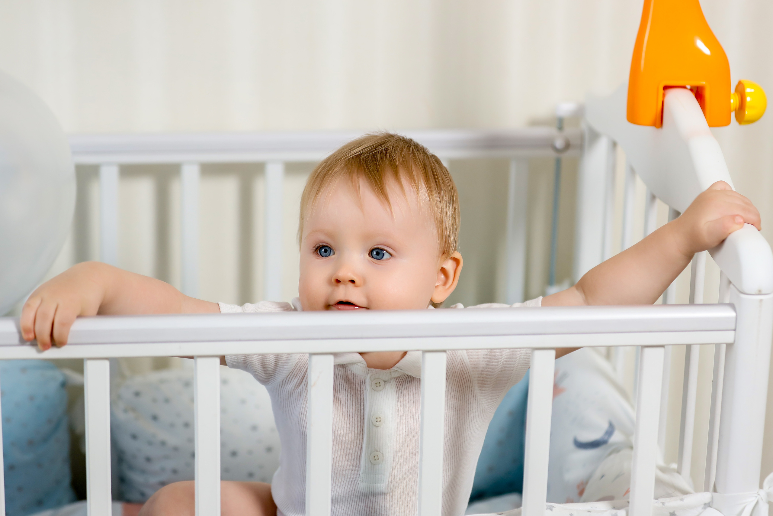 Годовасие. Фотограф Антон Чупринин