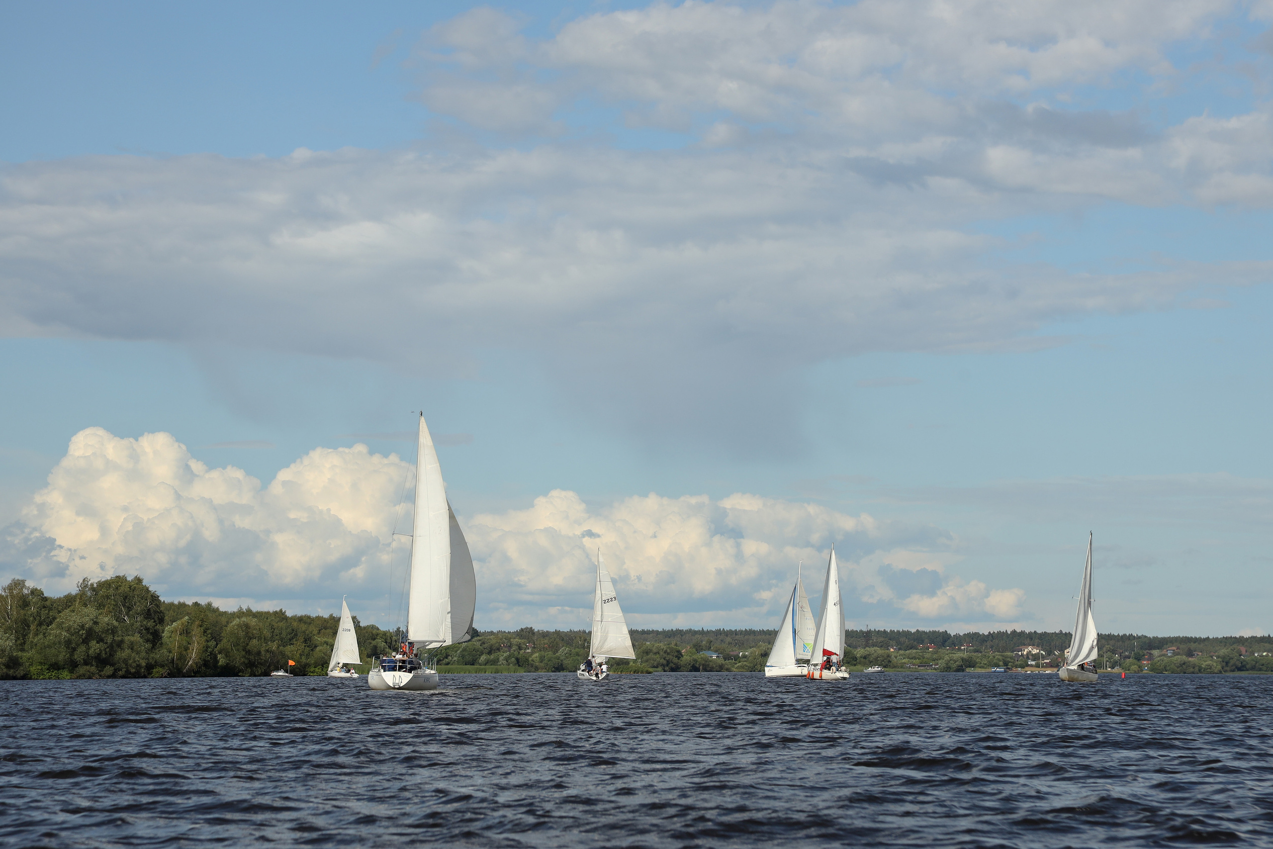 DIS регата 2023. Фотограф Антон Чупринин