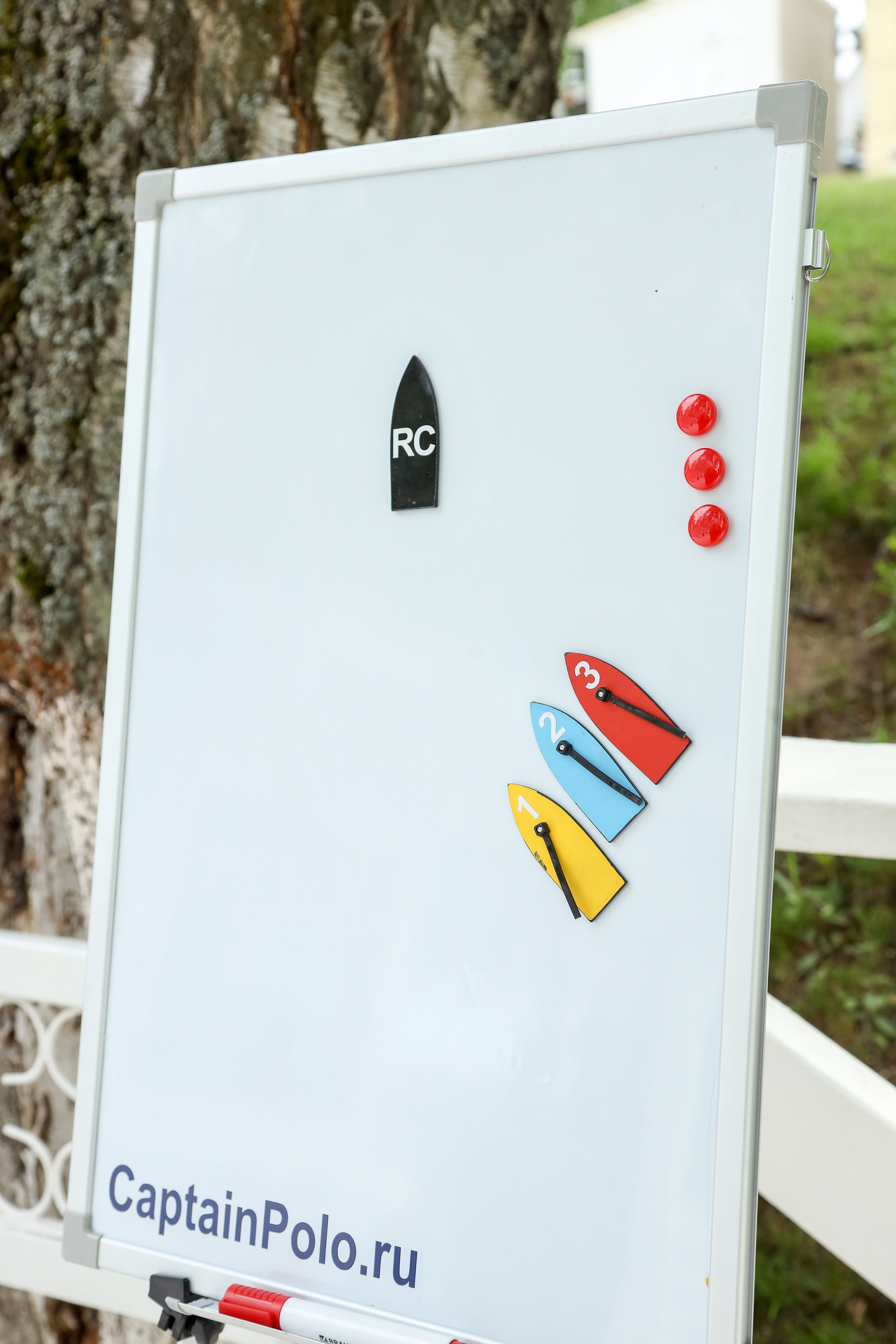 ДР Евгения — Регата. Фотограф Антон Чупринин