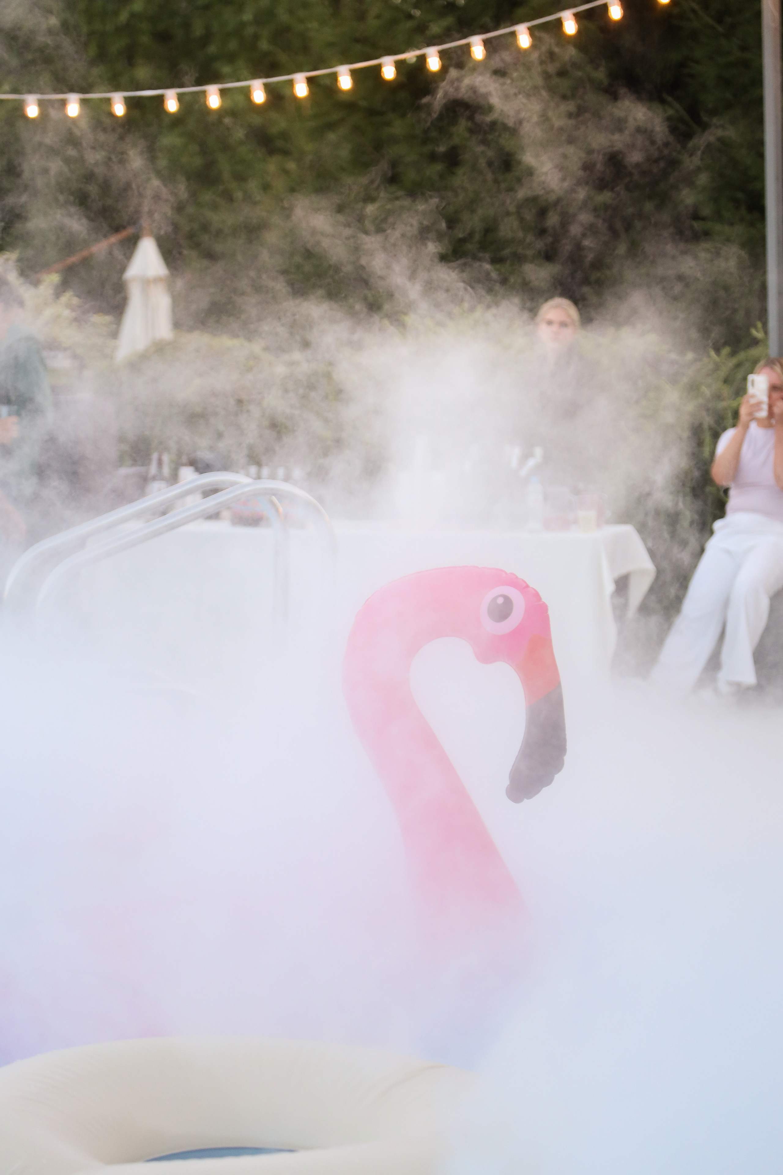 DIS регата 2023. Фотограф Антон Чупринин