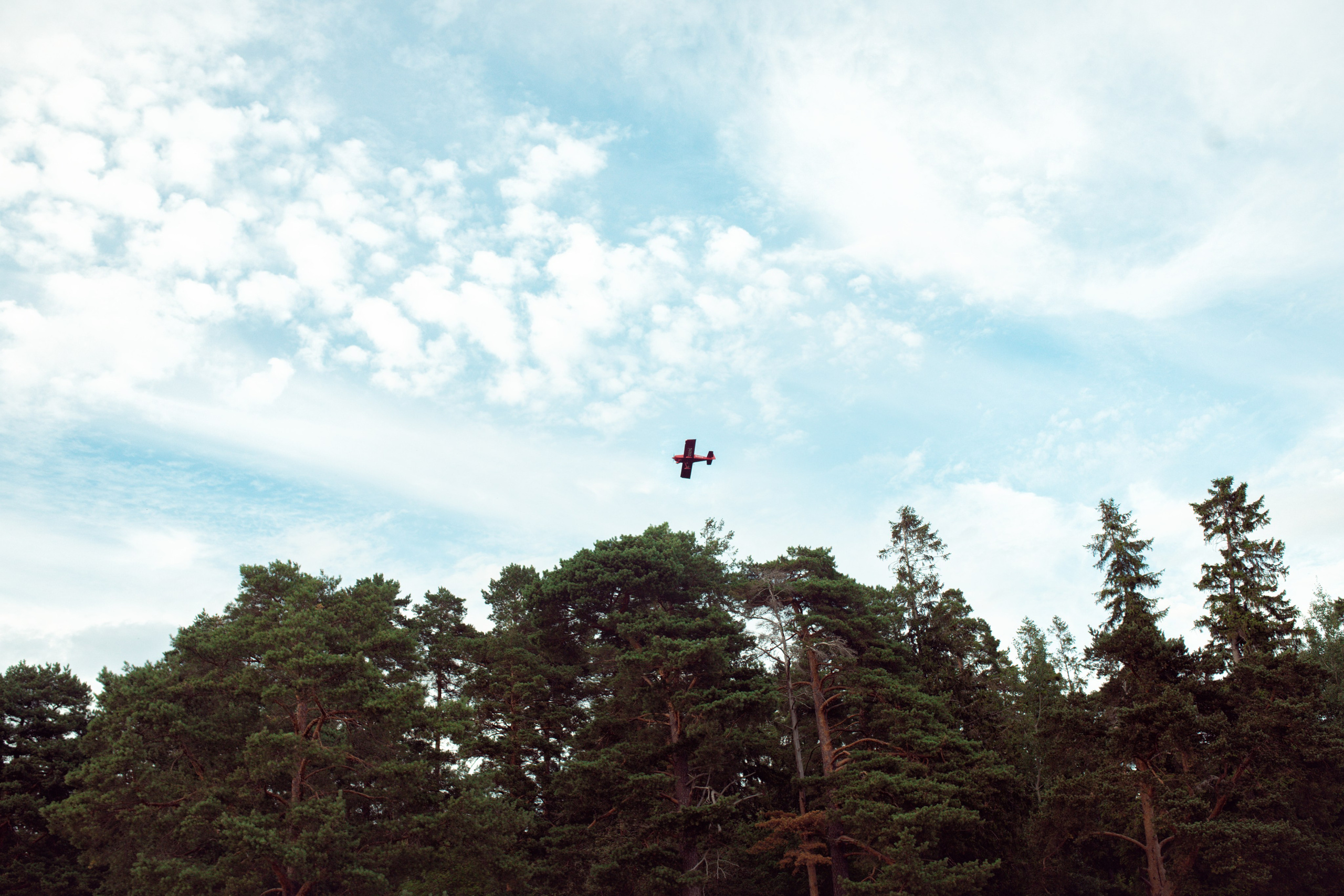 Съемка на заливе. Фотограф Санкт-Петербург Елена Мухина