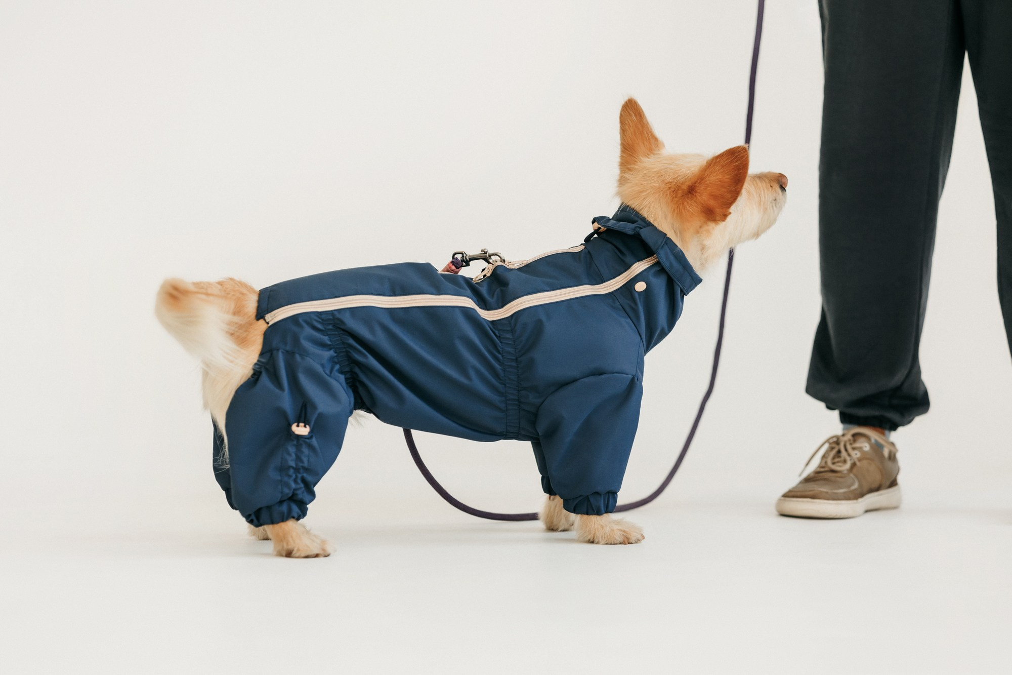 Одежда Lapa`s brand. Фотограф-анималист Елена Радченко, Москва