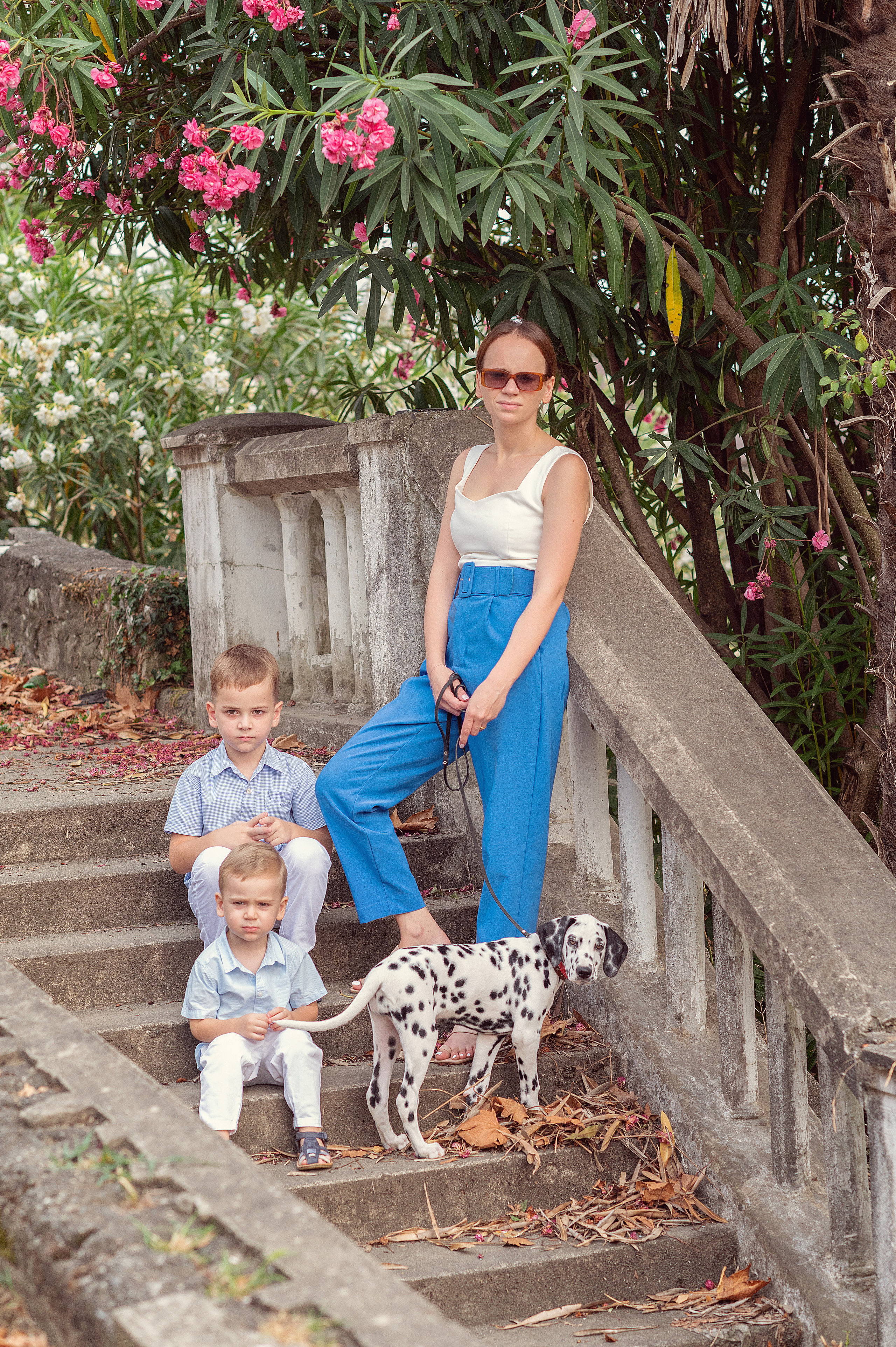 Долматинец. Детский фотограф Абхазия