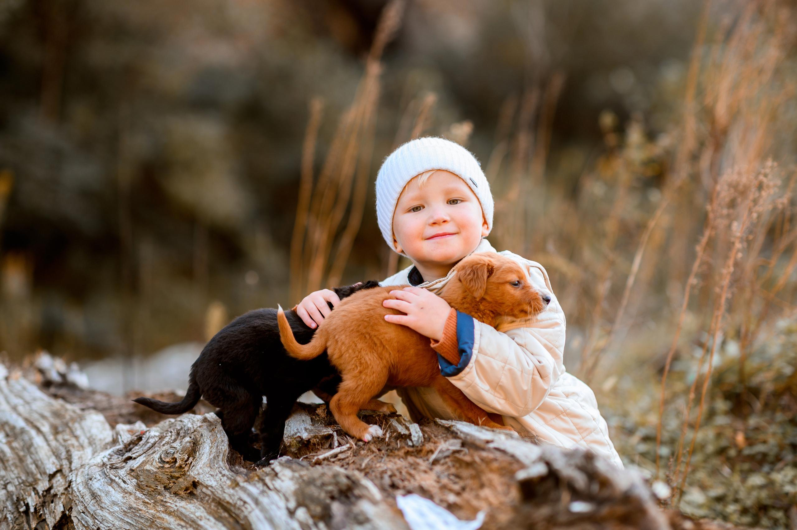 Осения история. Детский фотограф Абхазия