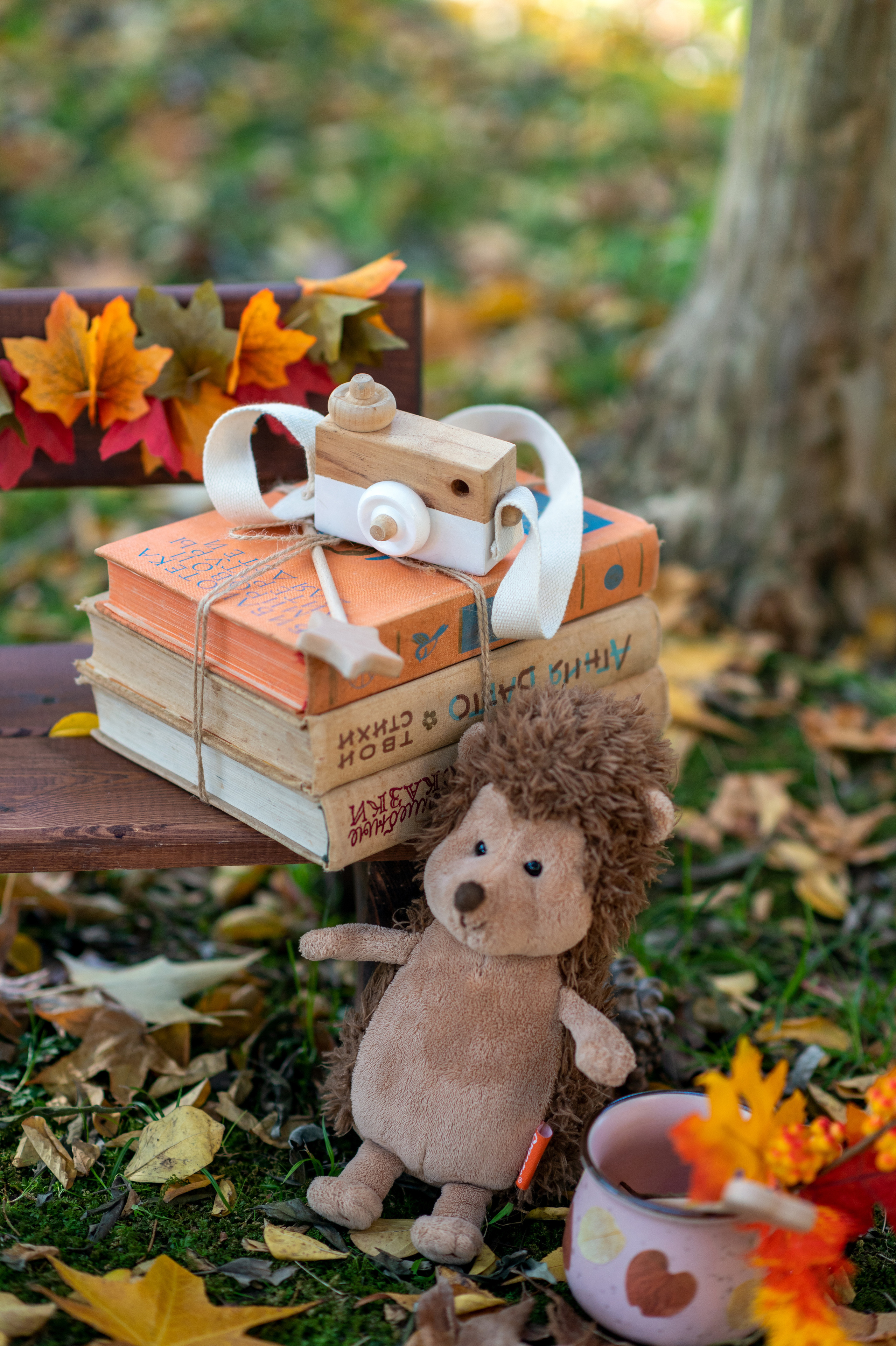 Осенний. Детский фотограф Абхазия