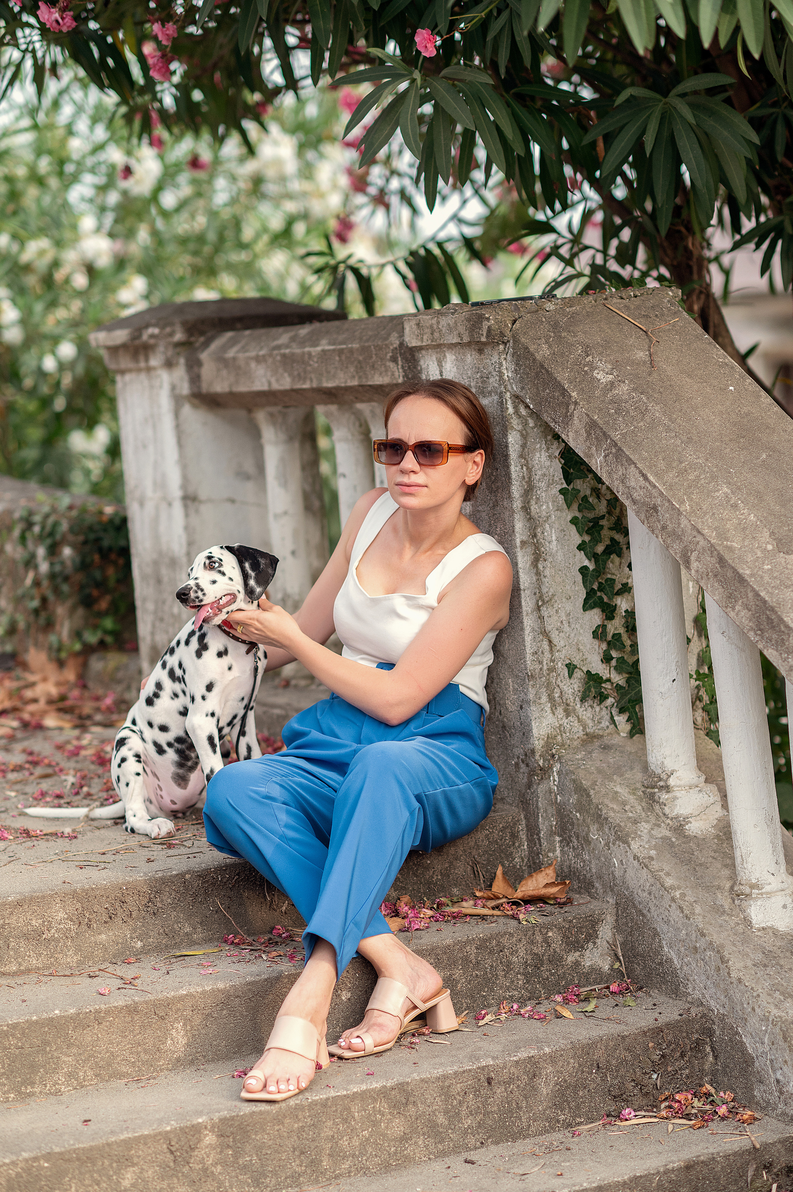 Долматинец. Детский фотограф Абхазия