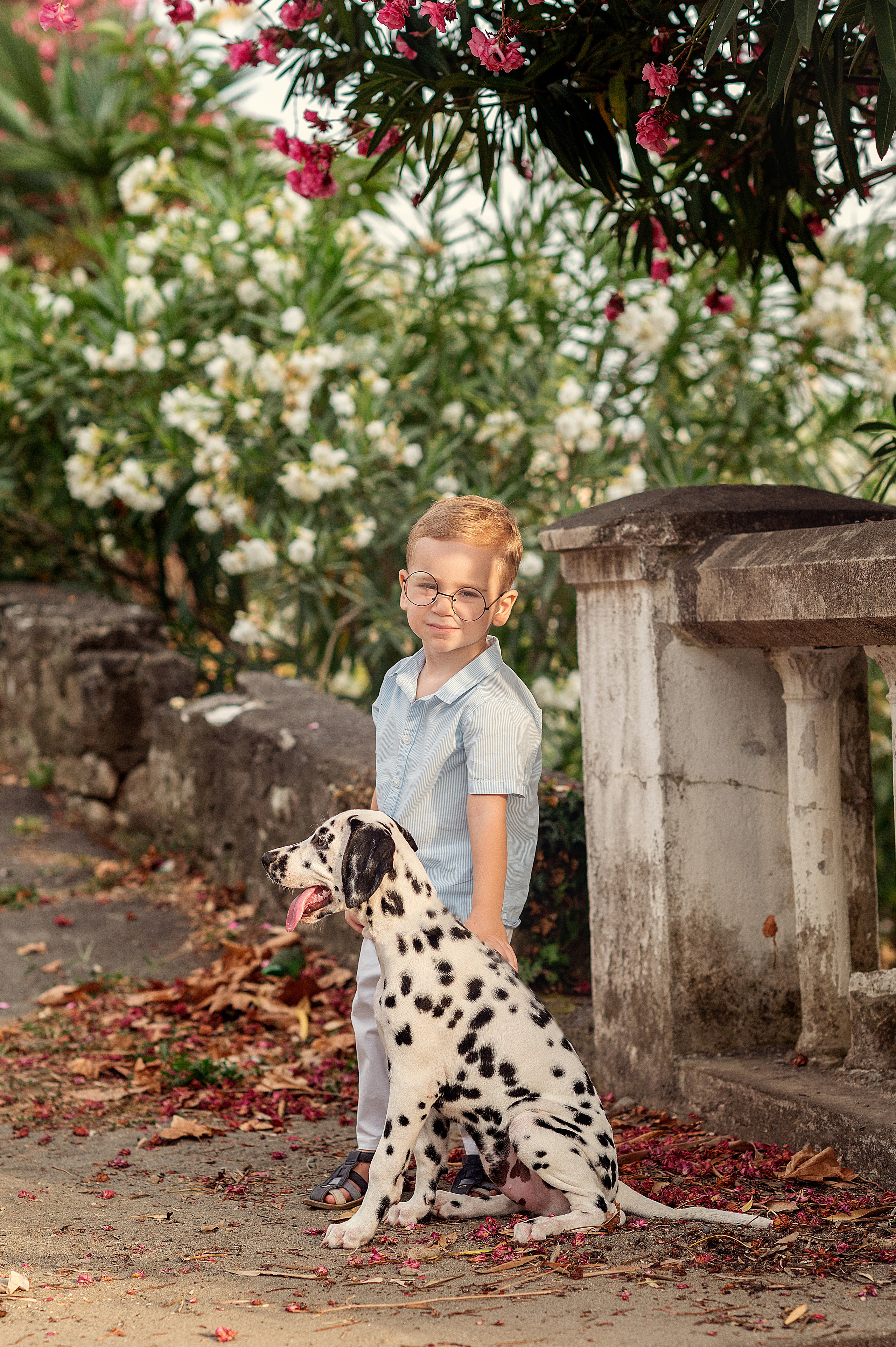 Долматинец. Детский фотограф Абхазия