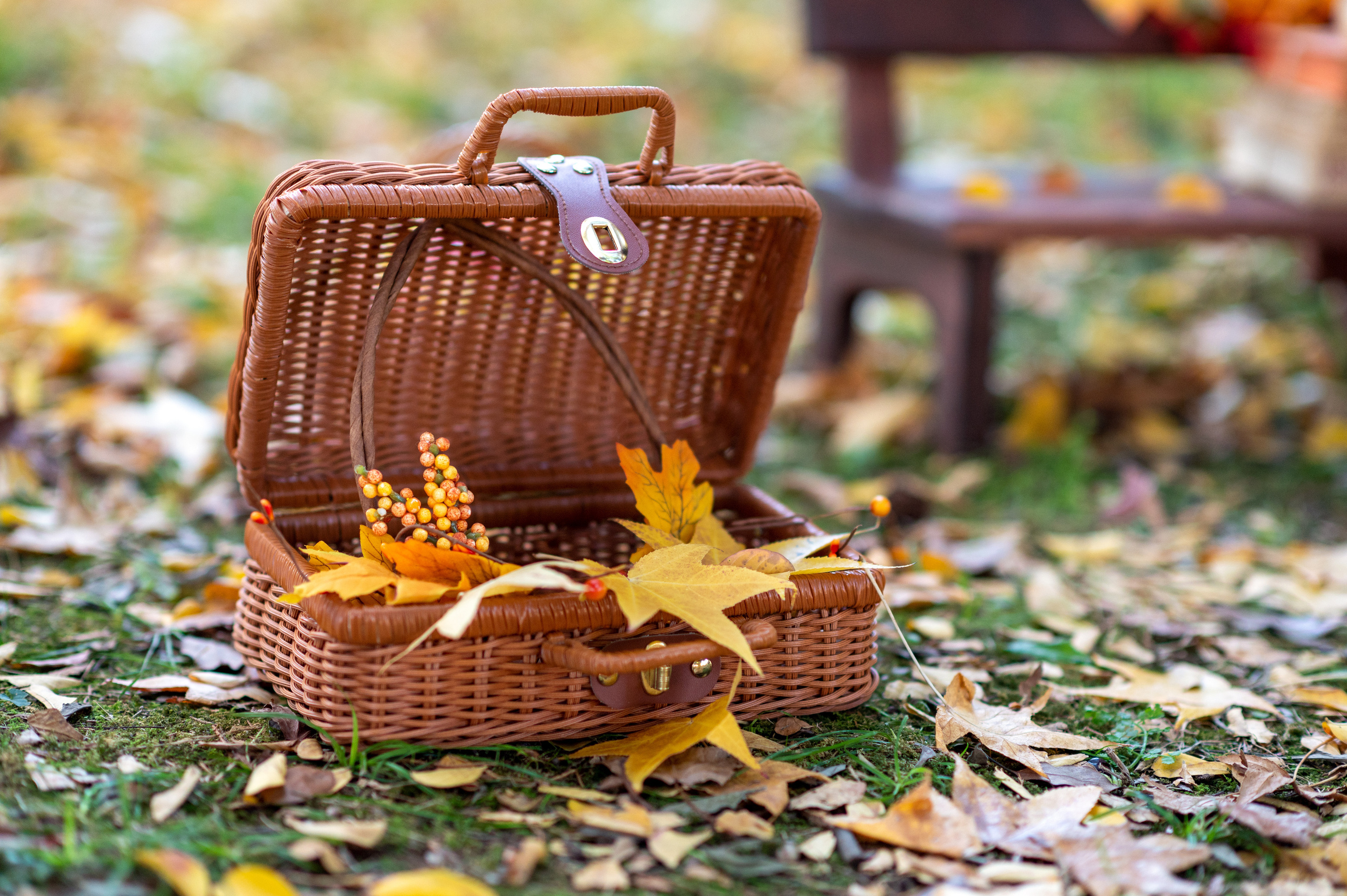 Осенний. Детский фотограф Абхазия