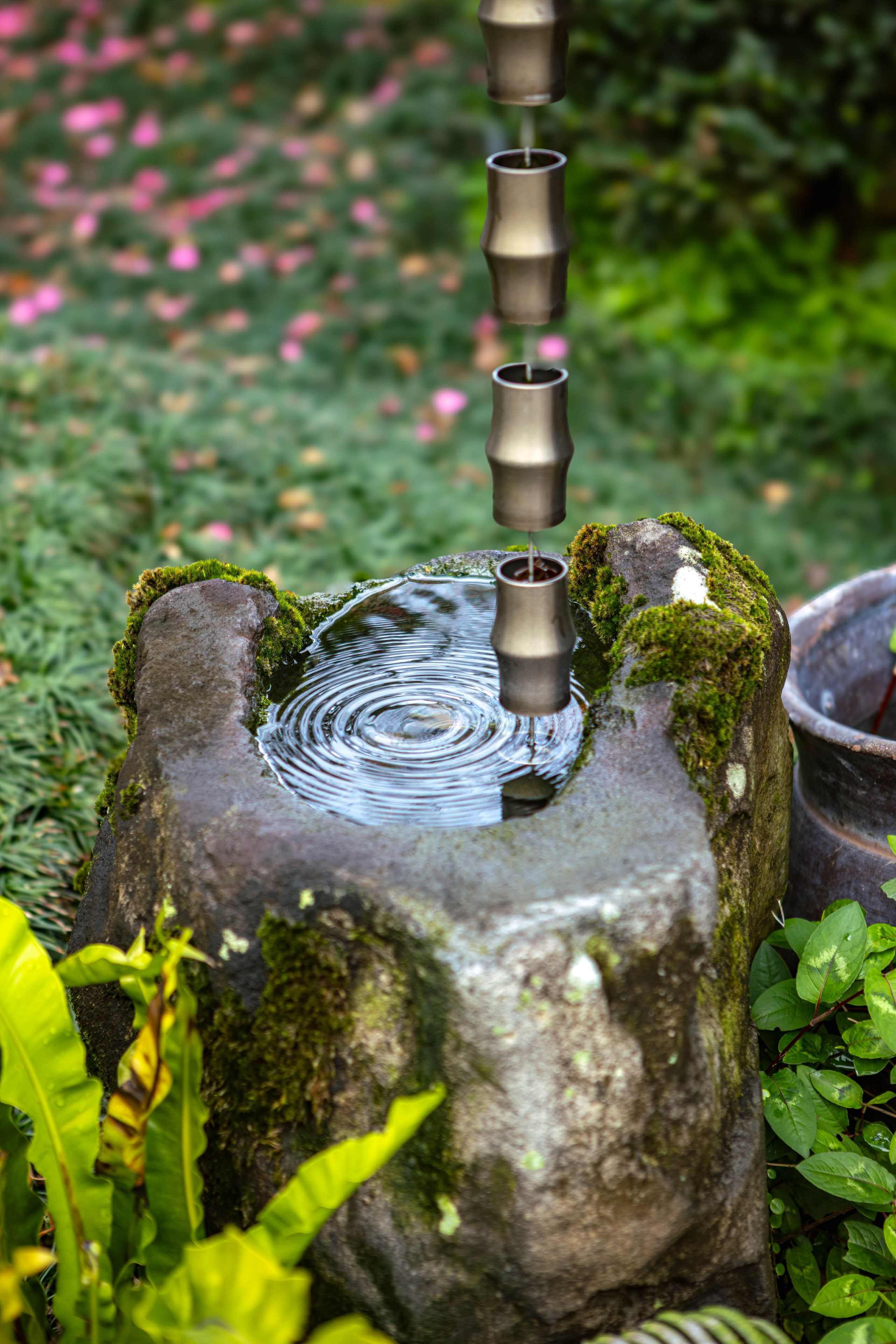 Тайвань. Фотография, ретушь, сканирование, восстановление старых фото, интерьерная съёмка, студия. Данилов Александр, Москва