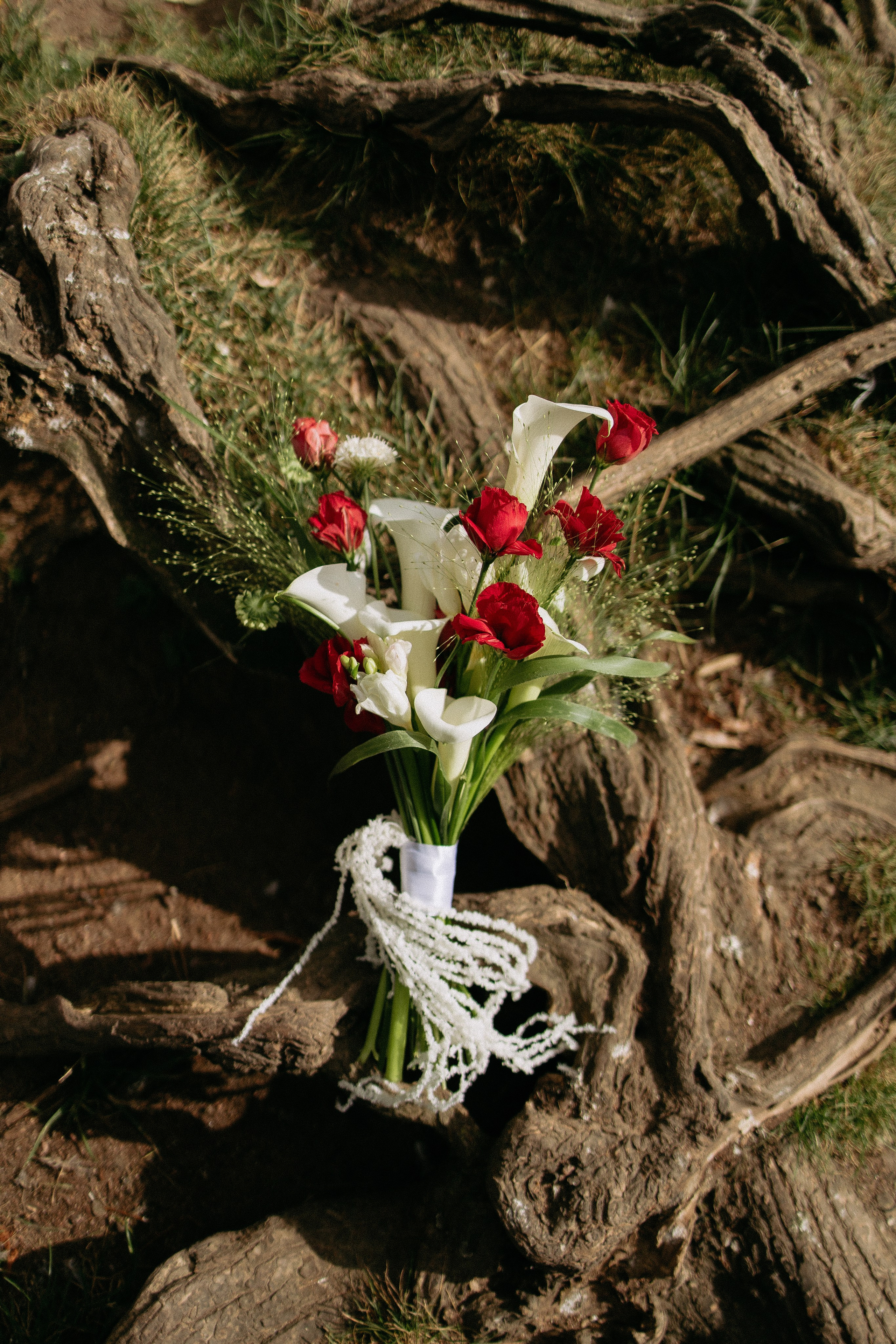 Илья и Ангелина. Свадебный и портретный фотограф в Санкт-Петербурге