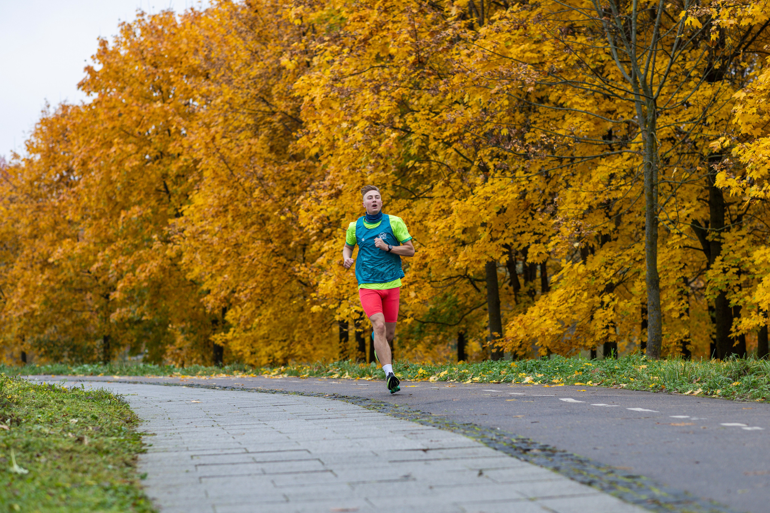 5 вёрст в Митино, 11.10.25. Фотограф Сергей Ловкий