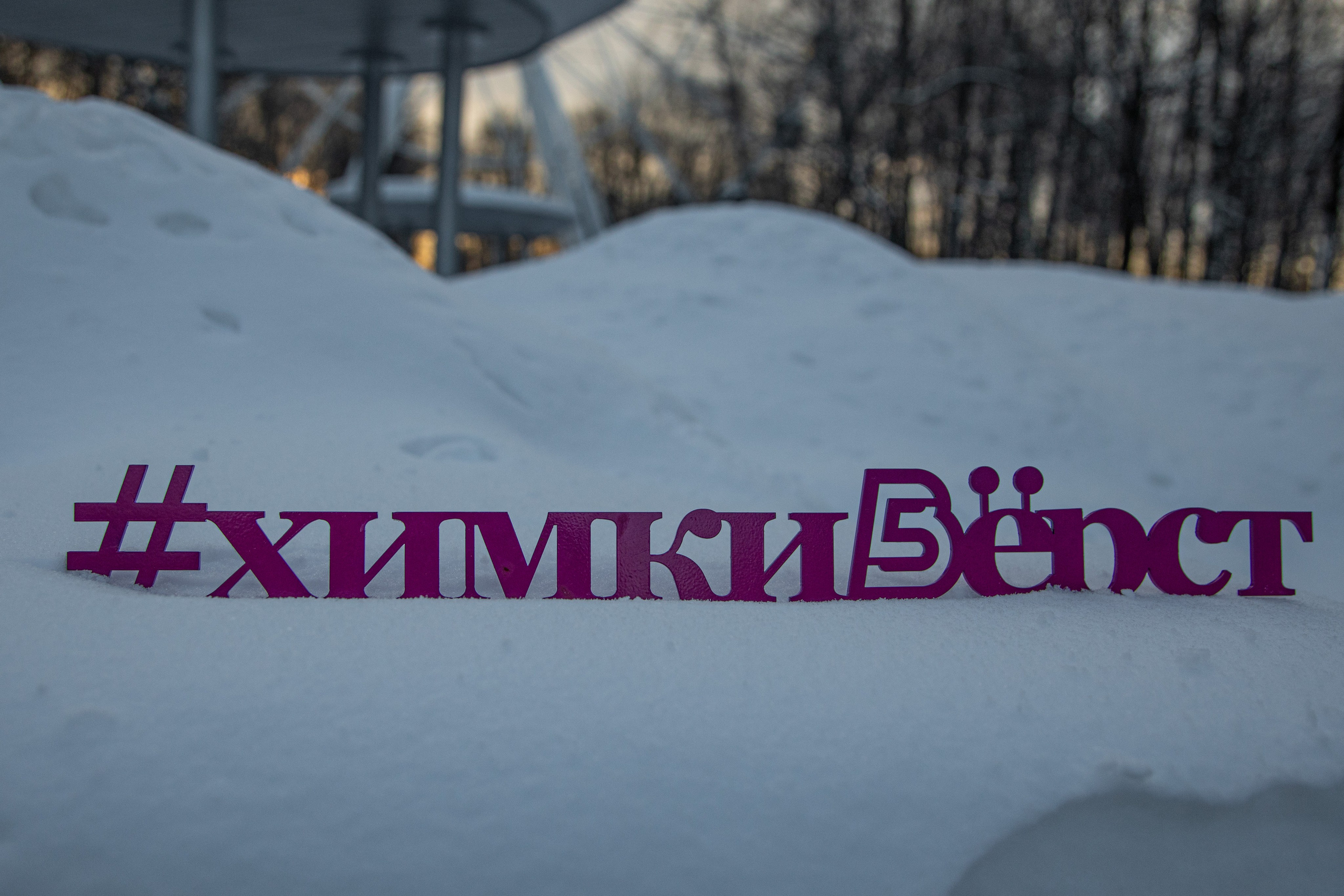 5 вёрст Химки, 90 забег, 10 февраля 2024 г. Фотограф Сергей Ловкий