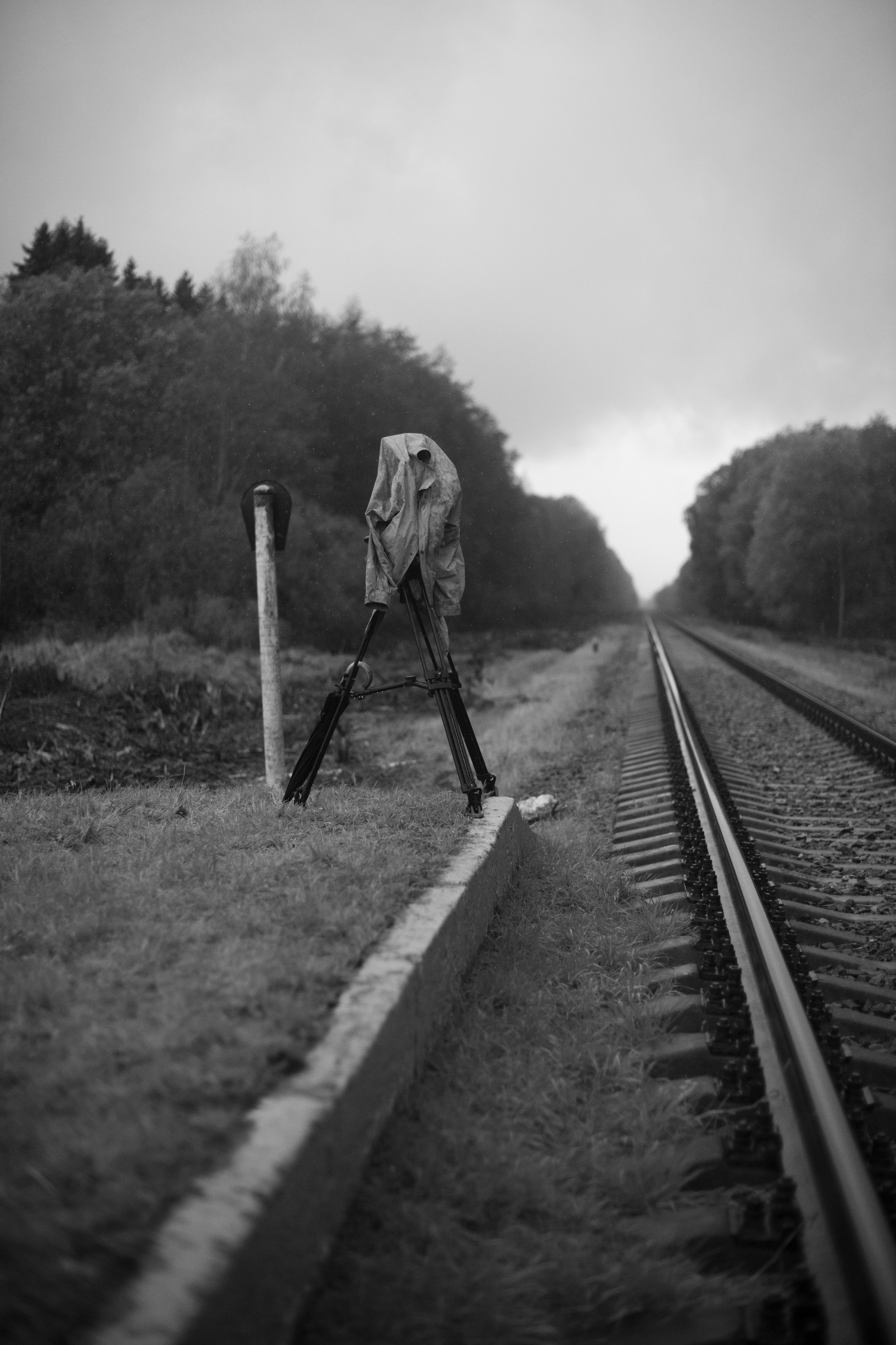 Репортаж. Фотограф Светлана Амирханова