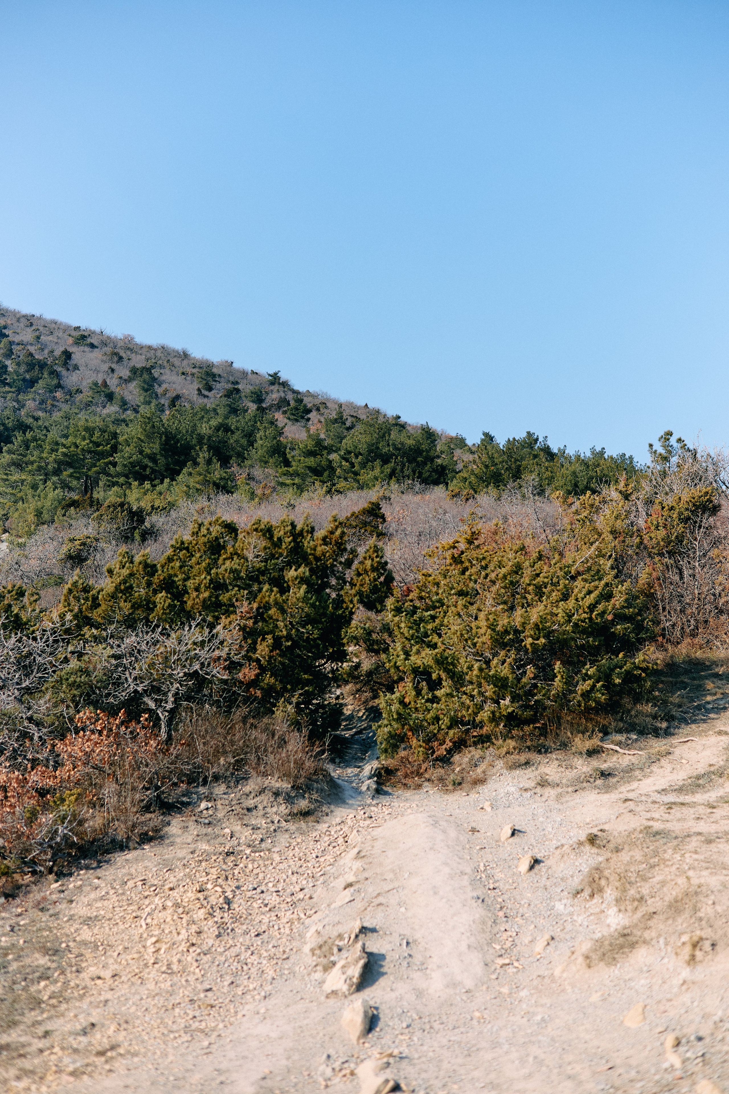 Юг России. Профессиональный Фотограф во Владимире, в Москве и в Суздале — Полина Романычева