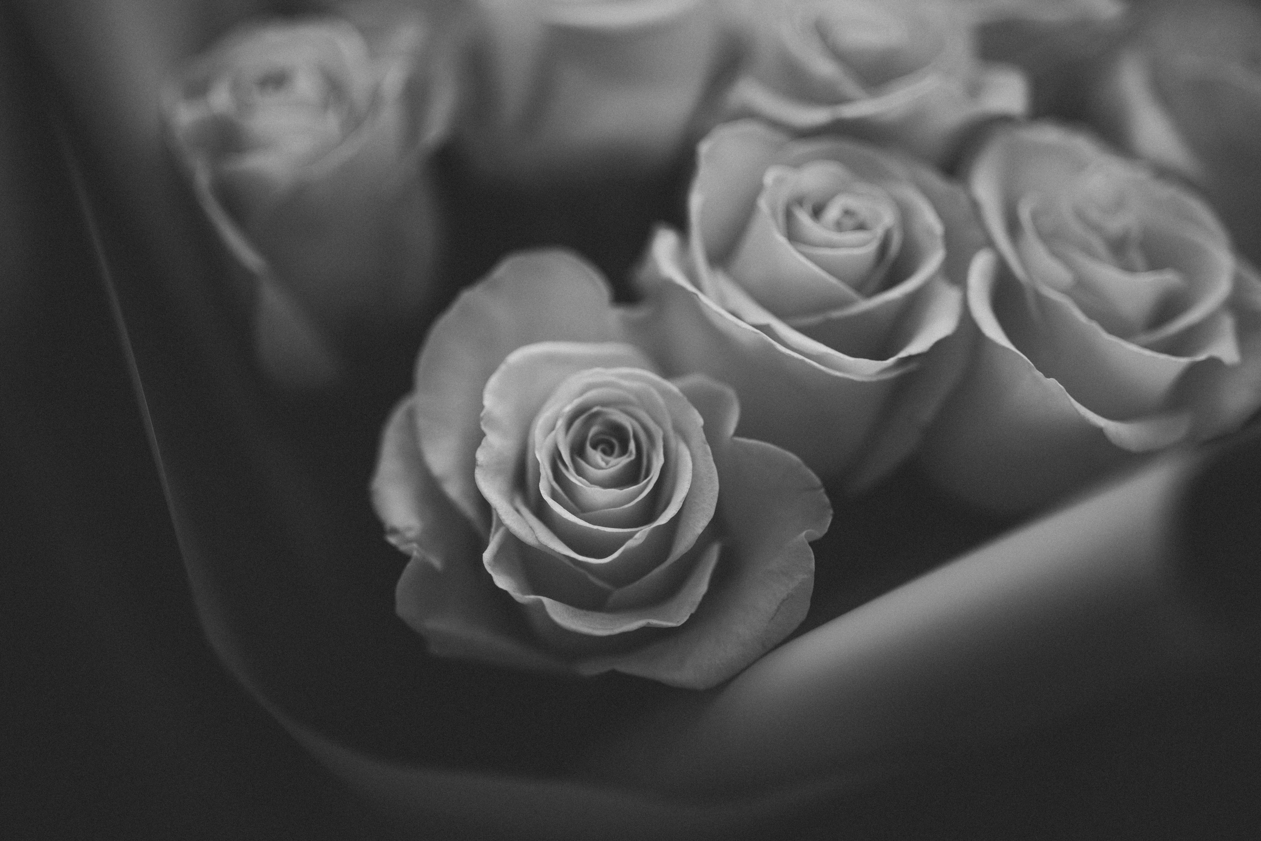 Свадьба Максима и Юлии. Свадебный фотограф Казань