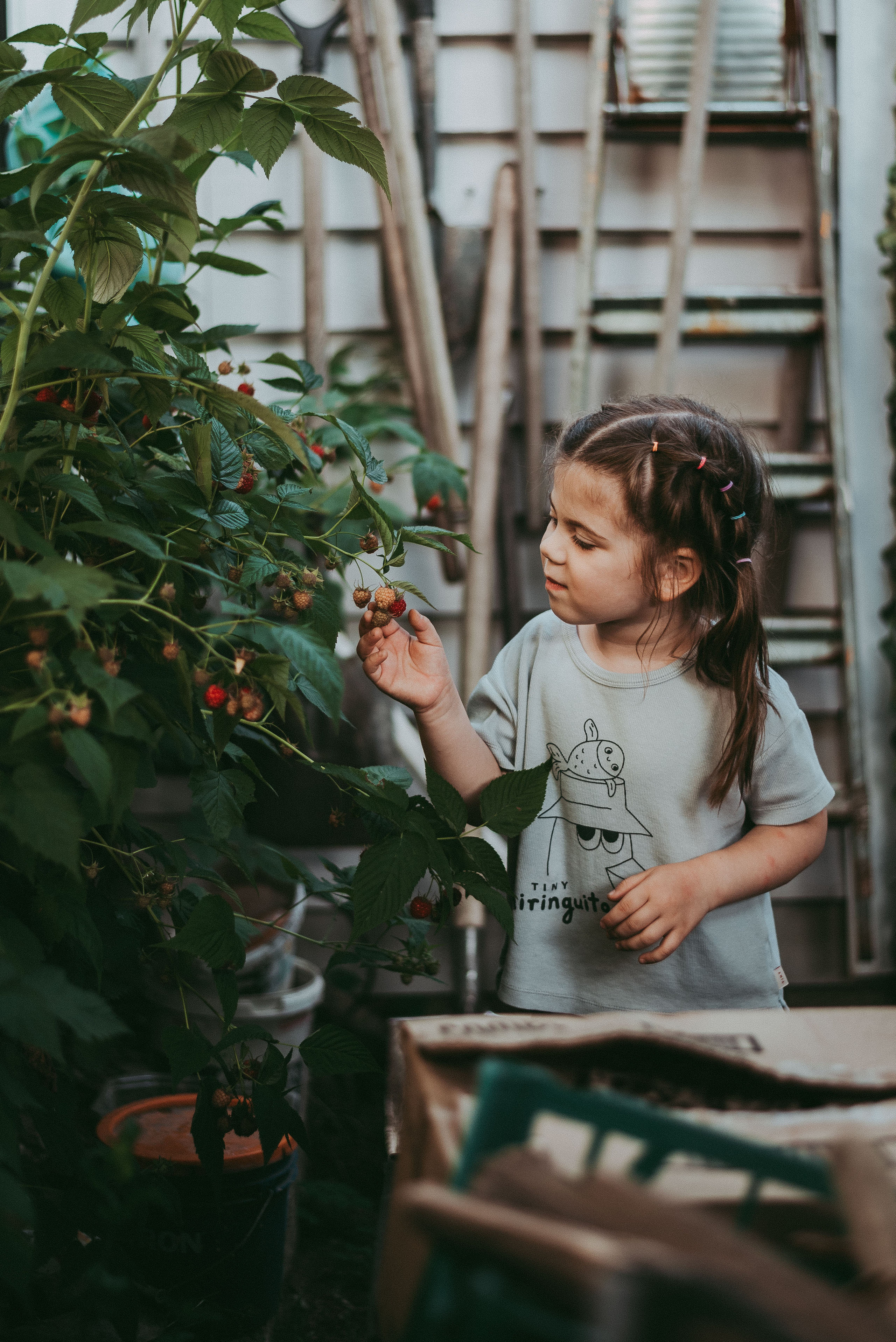 Семья Кати. Домашняя Фотосессия. Фотограф в Сочи — Маргарита Поганова