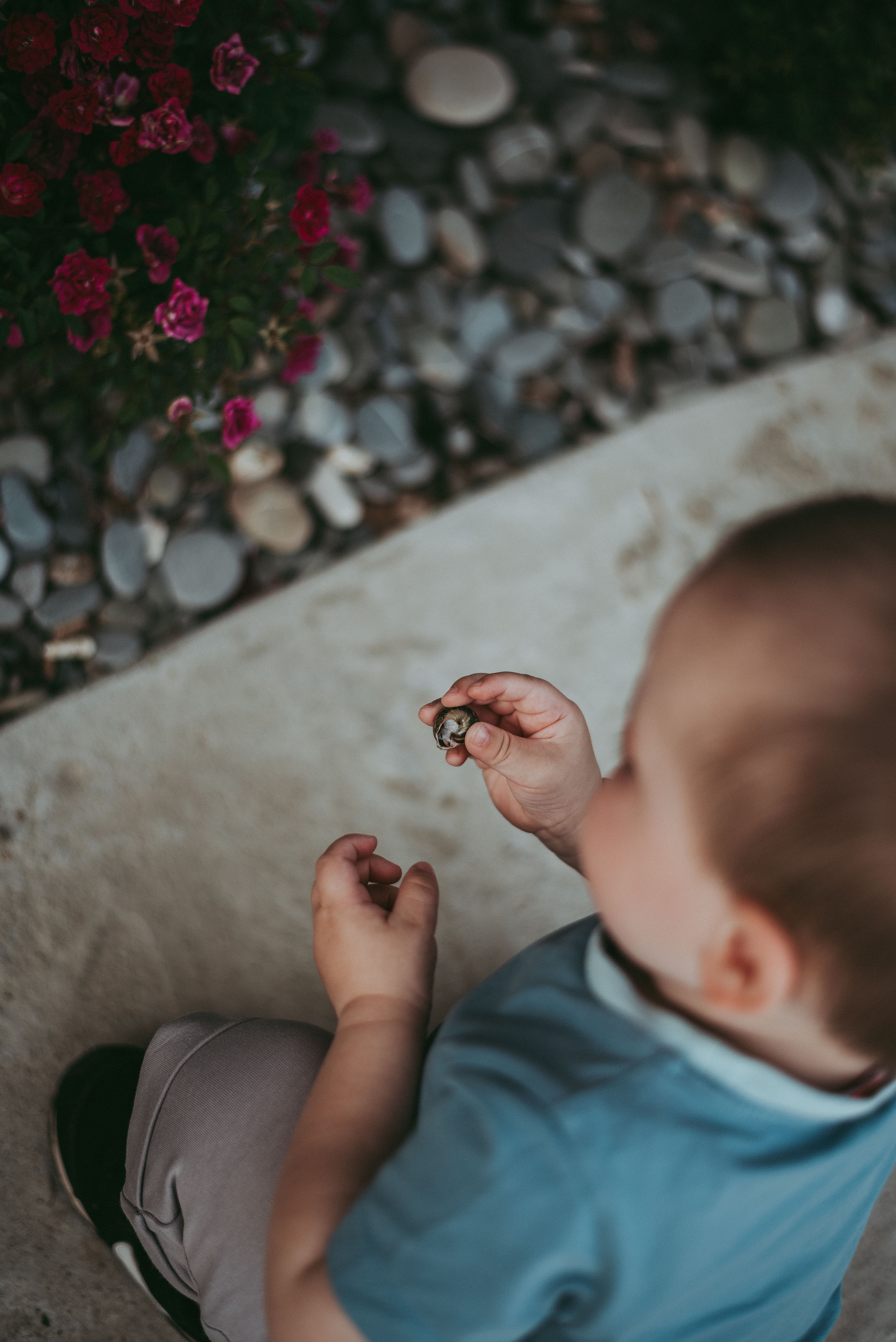 Семья Кати. Домашняя Фотосессия. Фотограф в Сочи — Маргарита Поганова