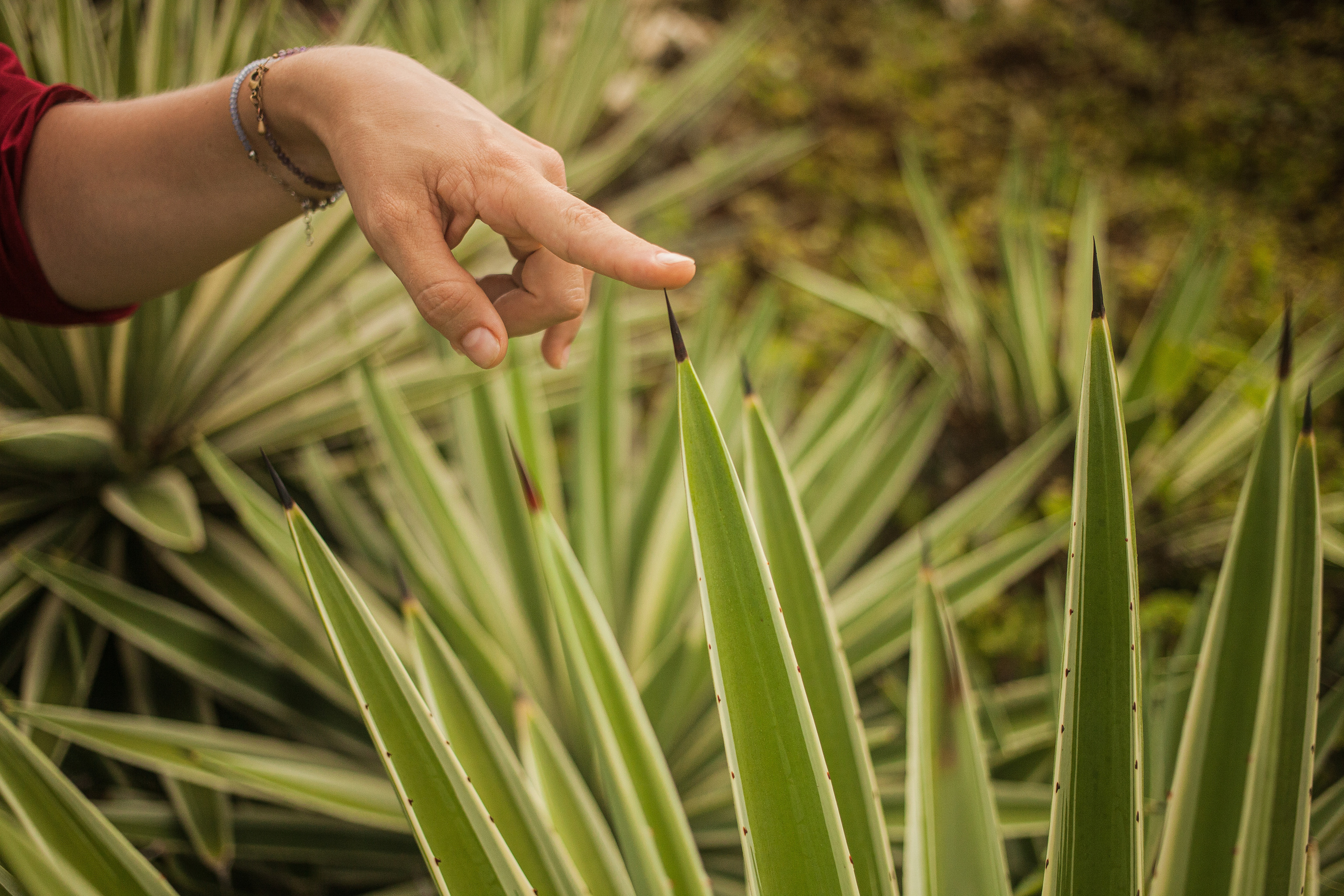 Anastasia, the doula of death. Darin the photographer