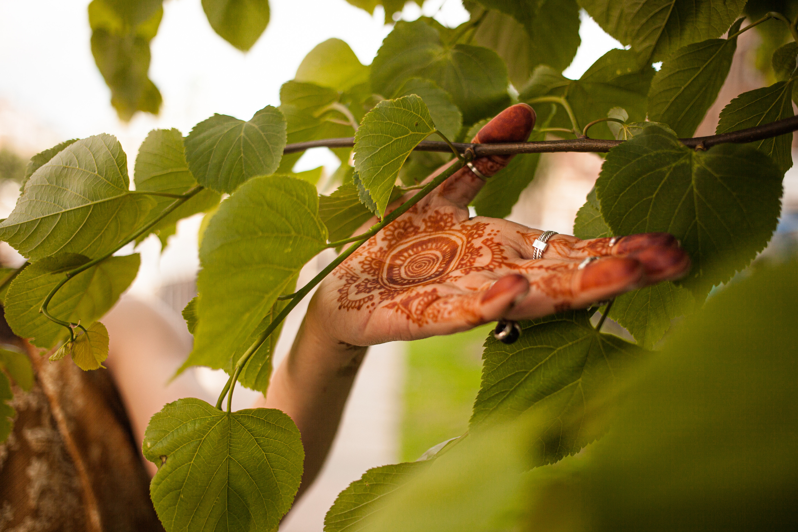 Lidia. Darin the photographer