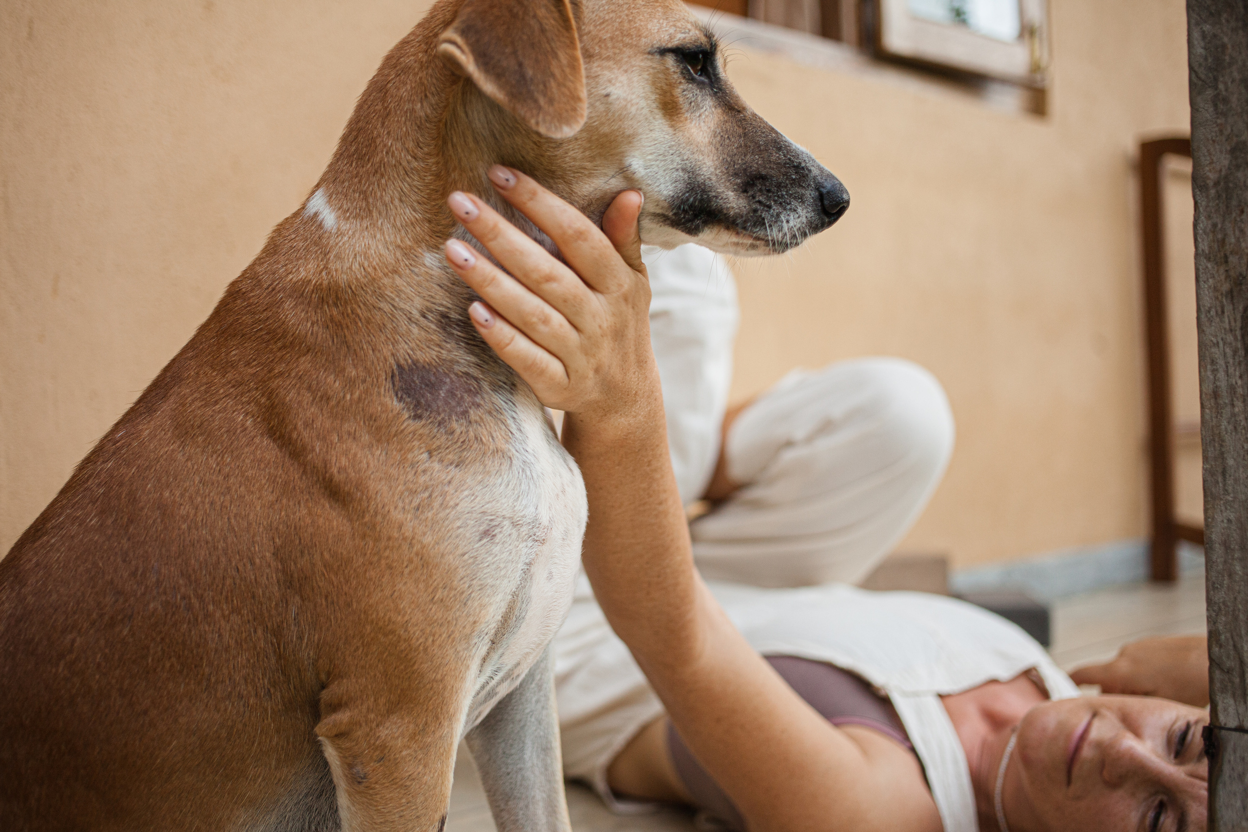 Ira and Hulia. Darin the photographer