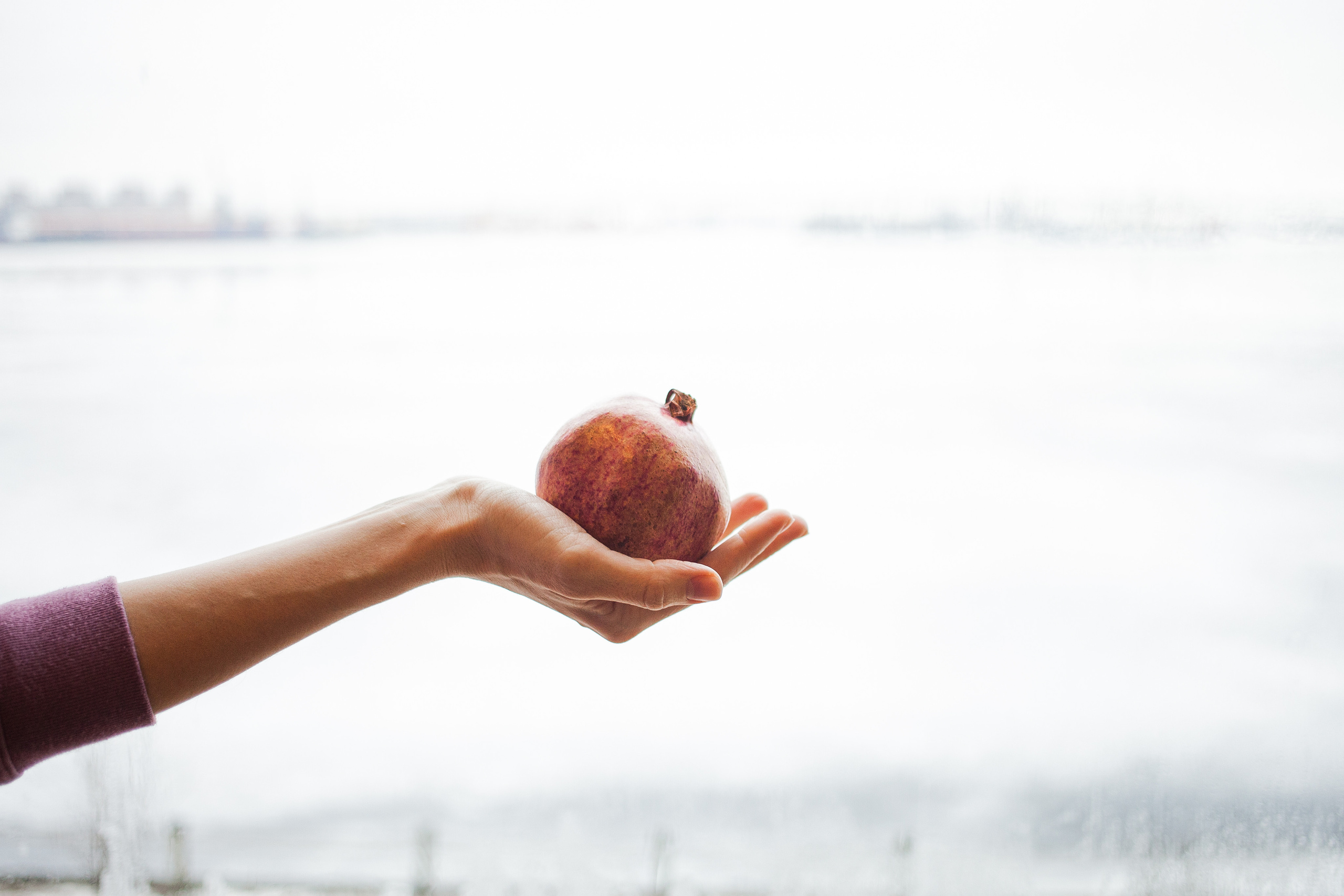 Polina, the doula. Darin the photographer