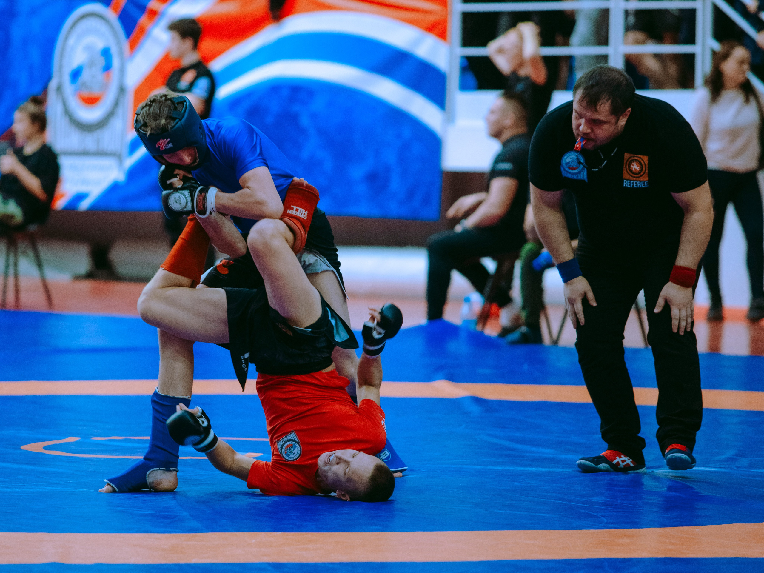 Кубок России по спортивной борьбе панкратион `23. Портретный фотограф в Москве Дарья Цезария