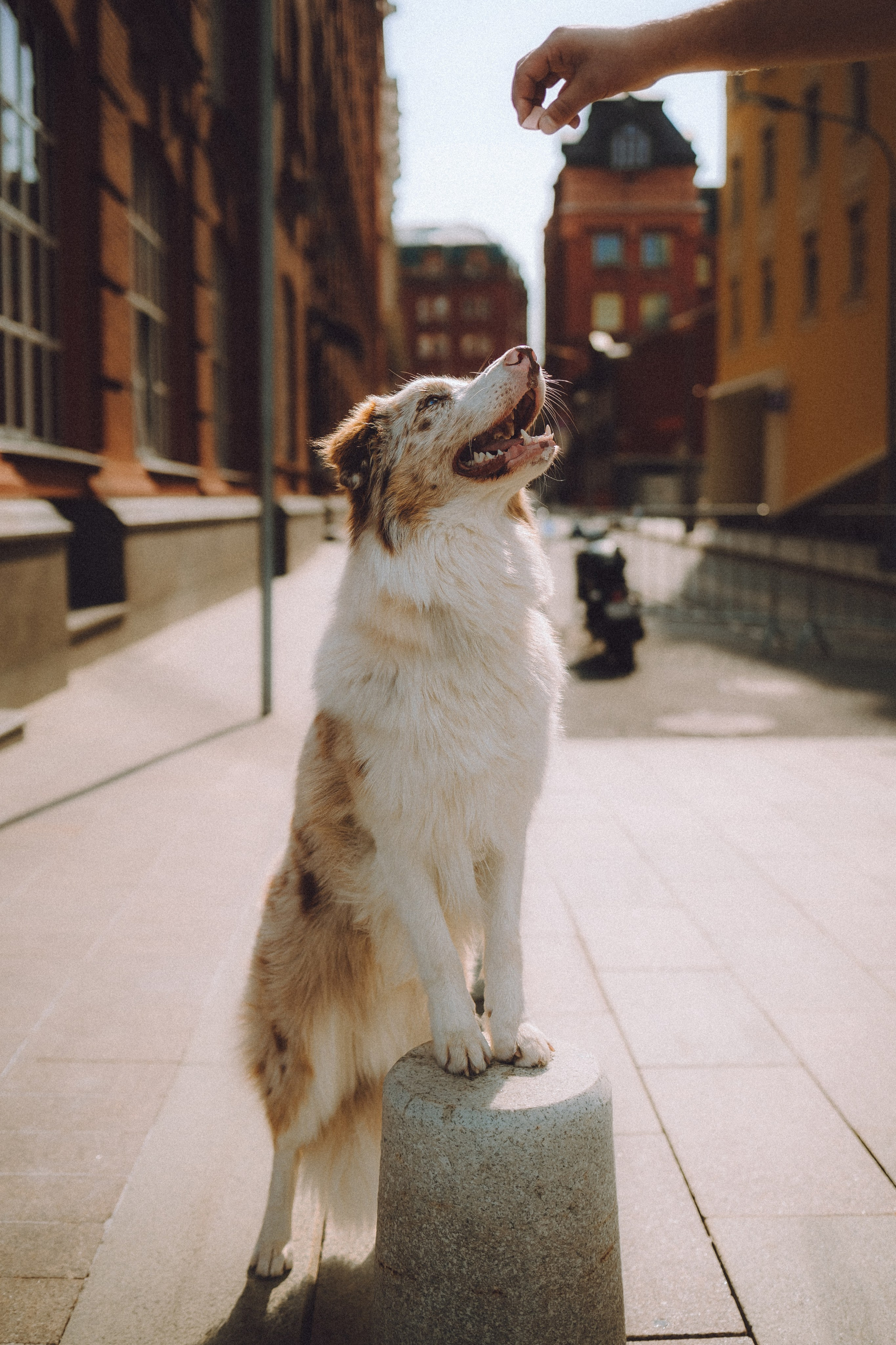 Один и его семья