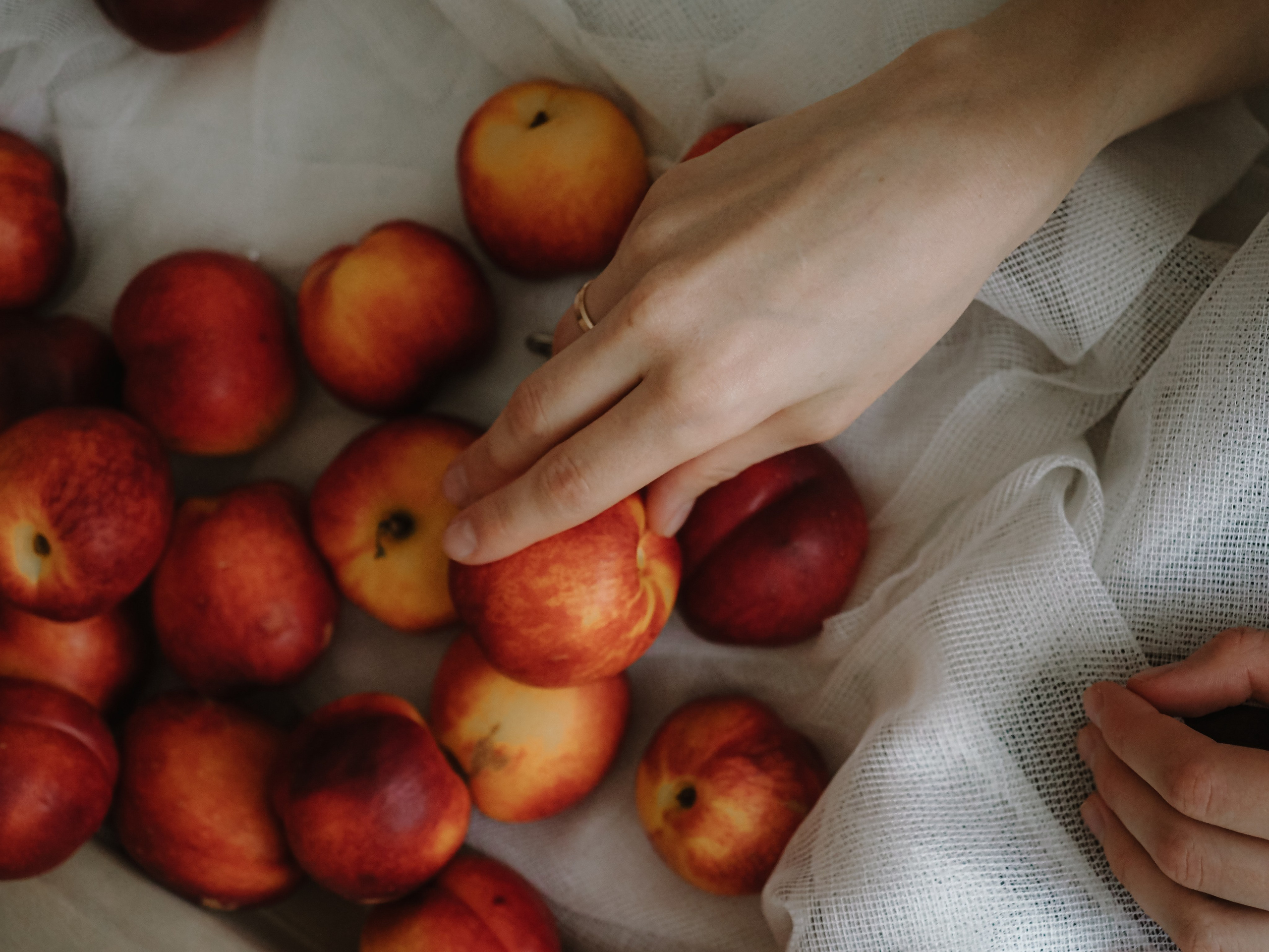 Утро и аромат персиков. Фотограф Рязань. Семейный Свадебный фотограф