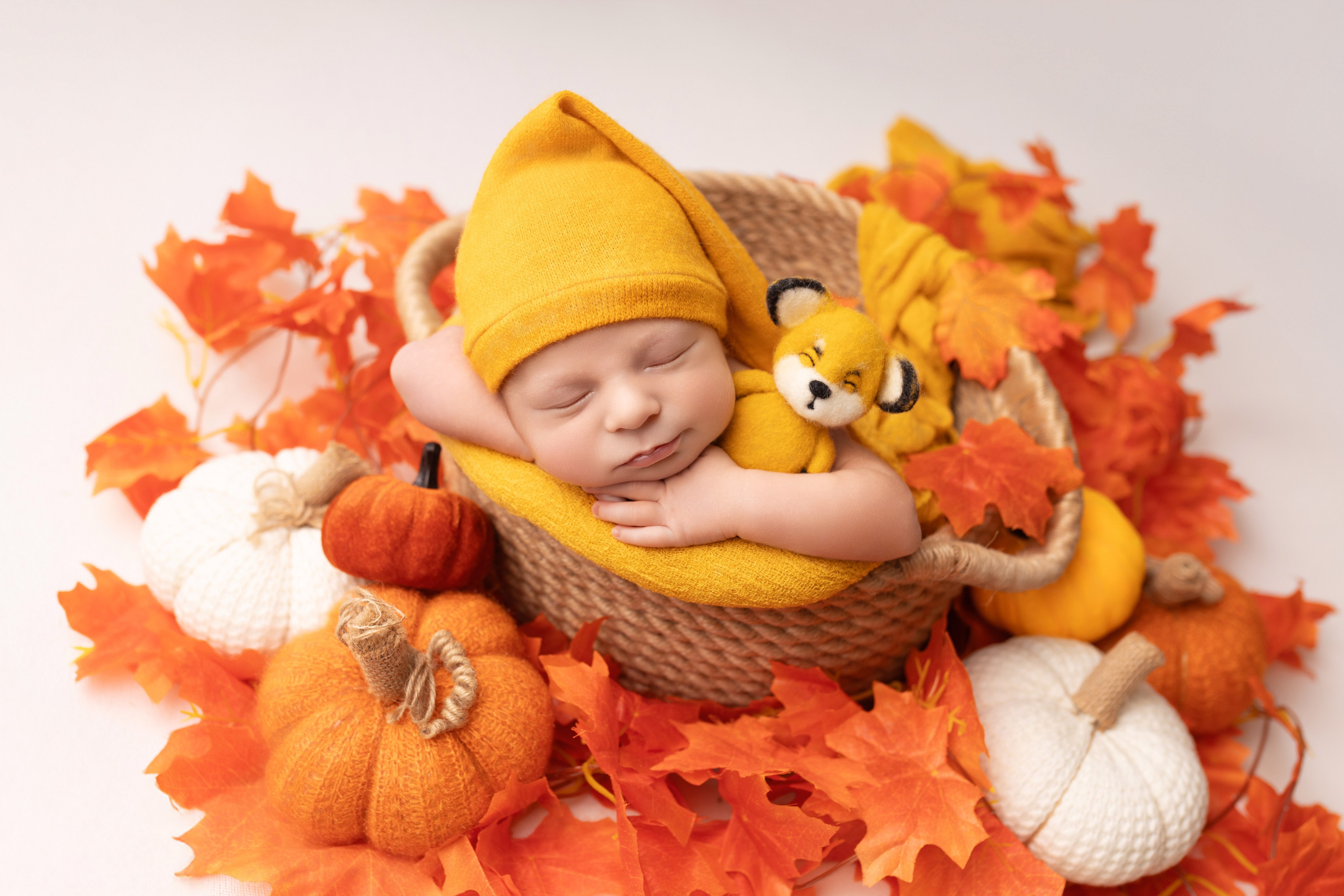 Newborn мальчики. Фотограф новорожденных Модяева Ирина