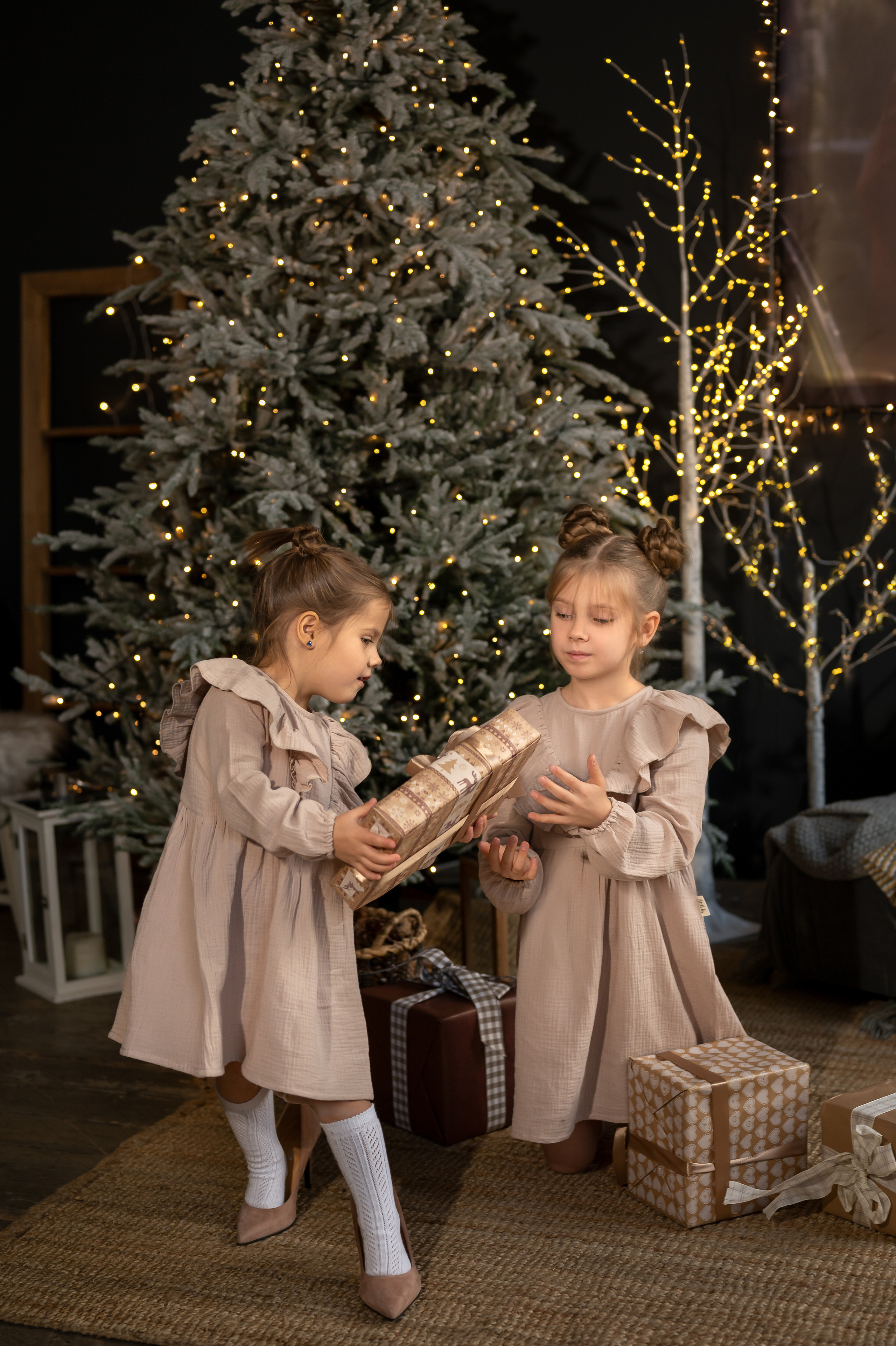 Новогодняя семейная фотосессия. Фотограф Елена Сасс Москва