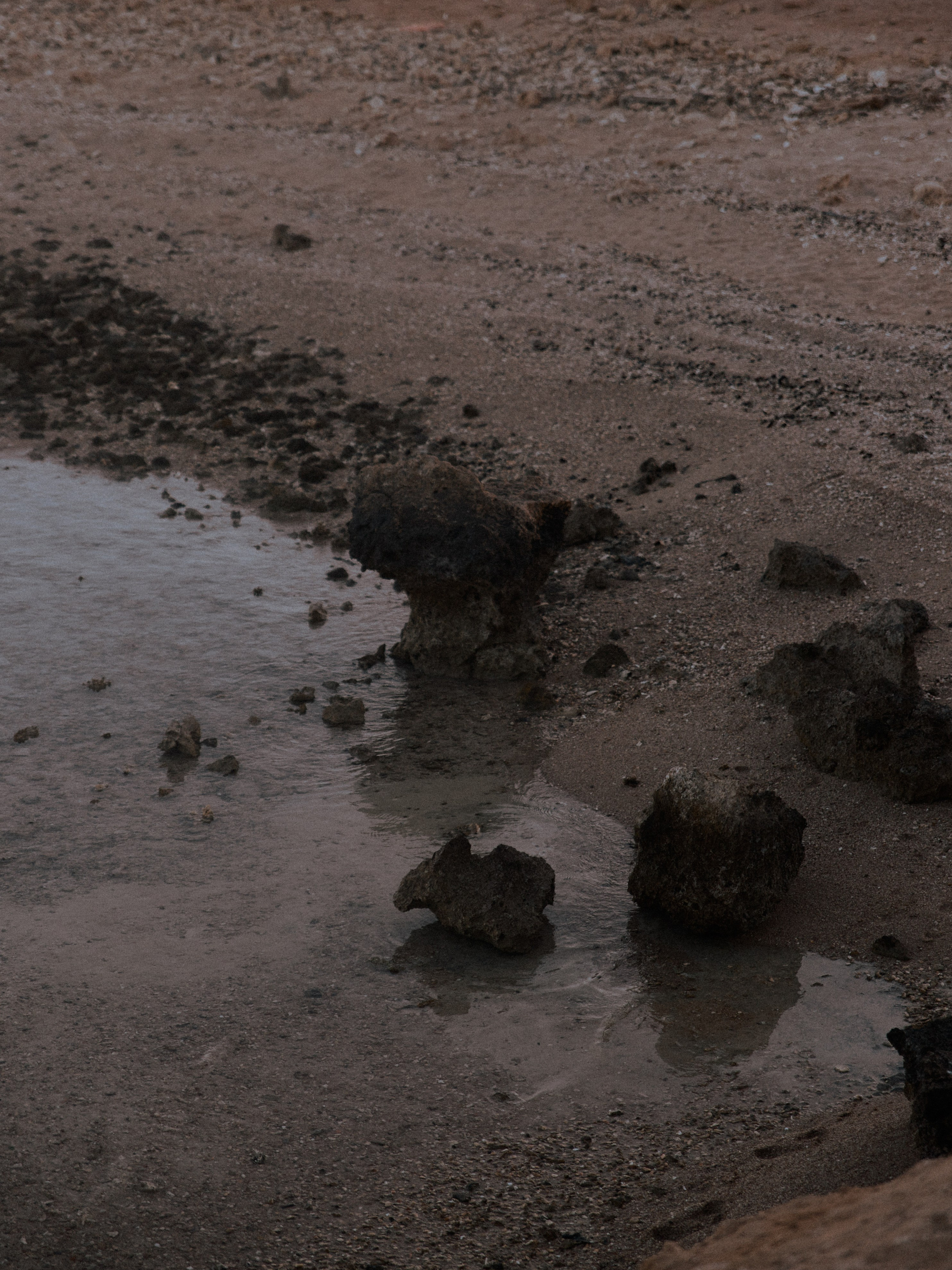 Природа. Jorgis Talè — photographer, kind person, teacher of arts and other mag