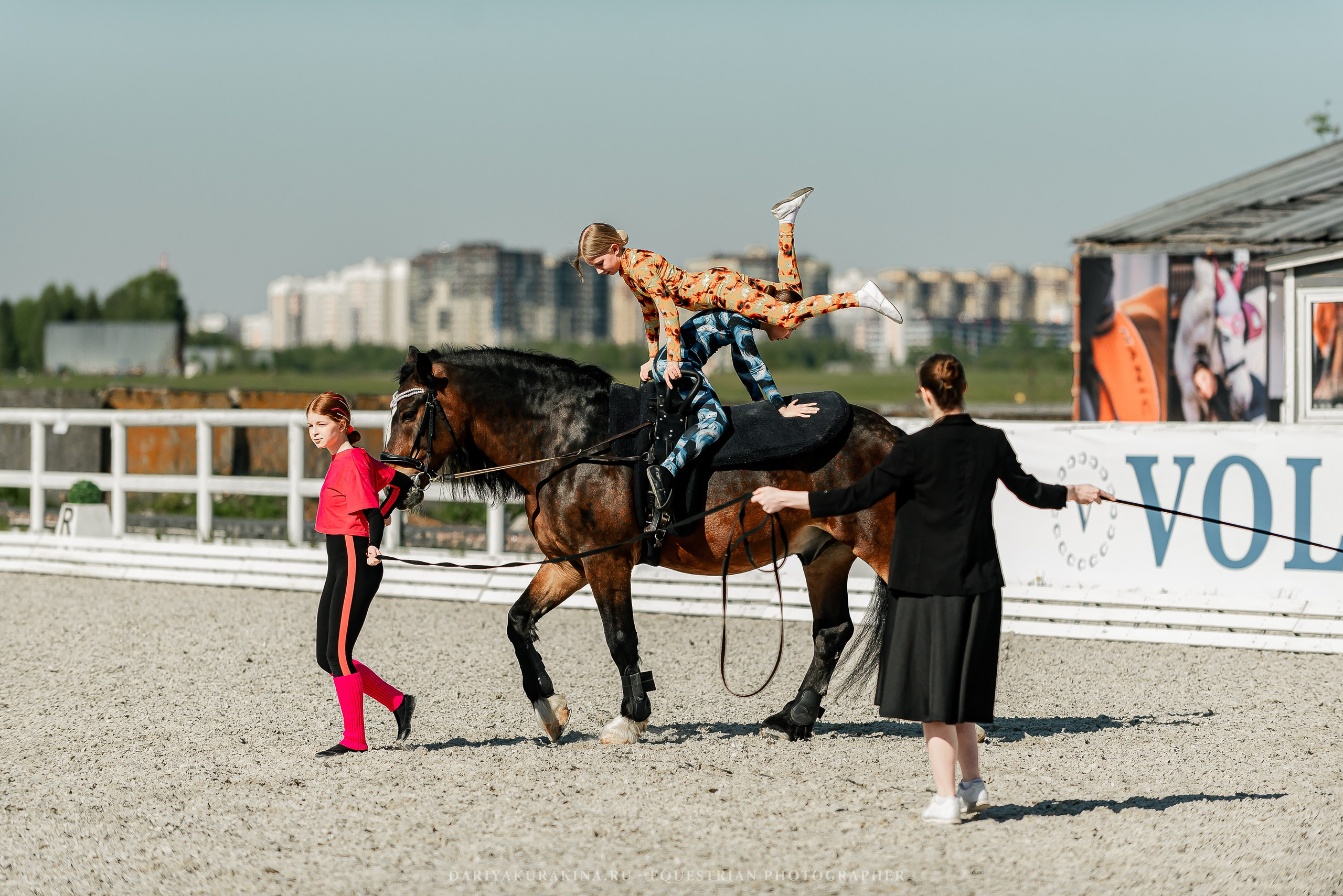 РЕПОРТАЖ МКК ВОЛЬТ «LA TULIPS». Конный фотограф Куракина Дарья • Фотосессии с лошадьми