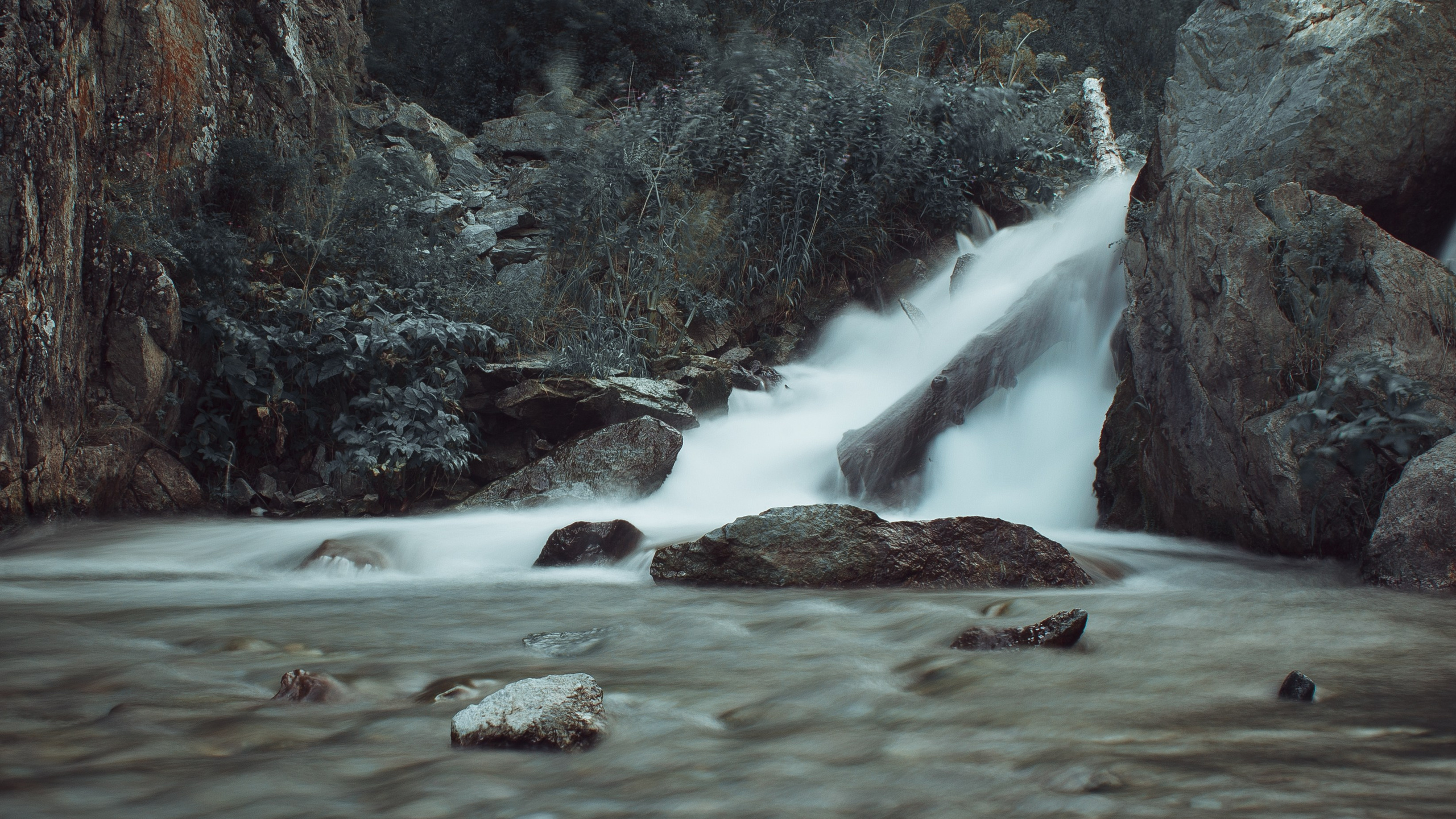 Пейзажное фото. Ню Фотограф Александр Касымов Москва, фотосессии, Химки фотограф