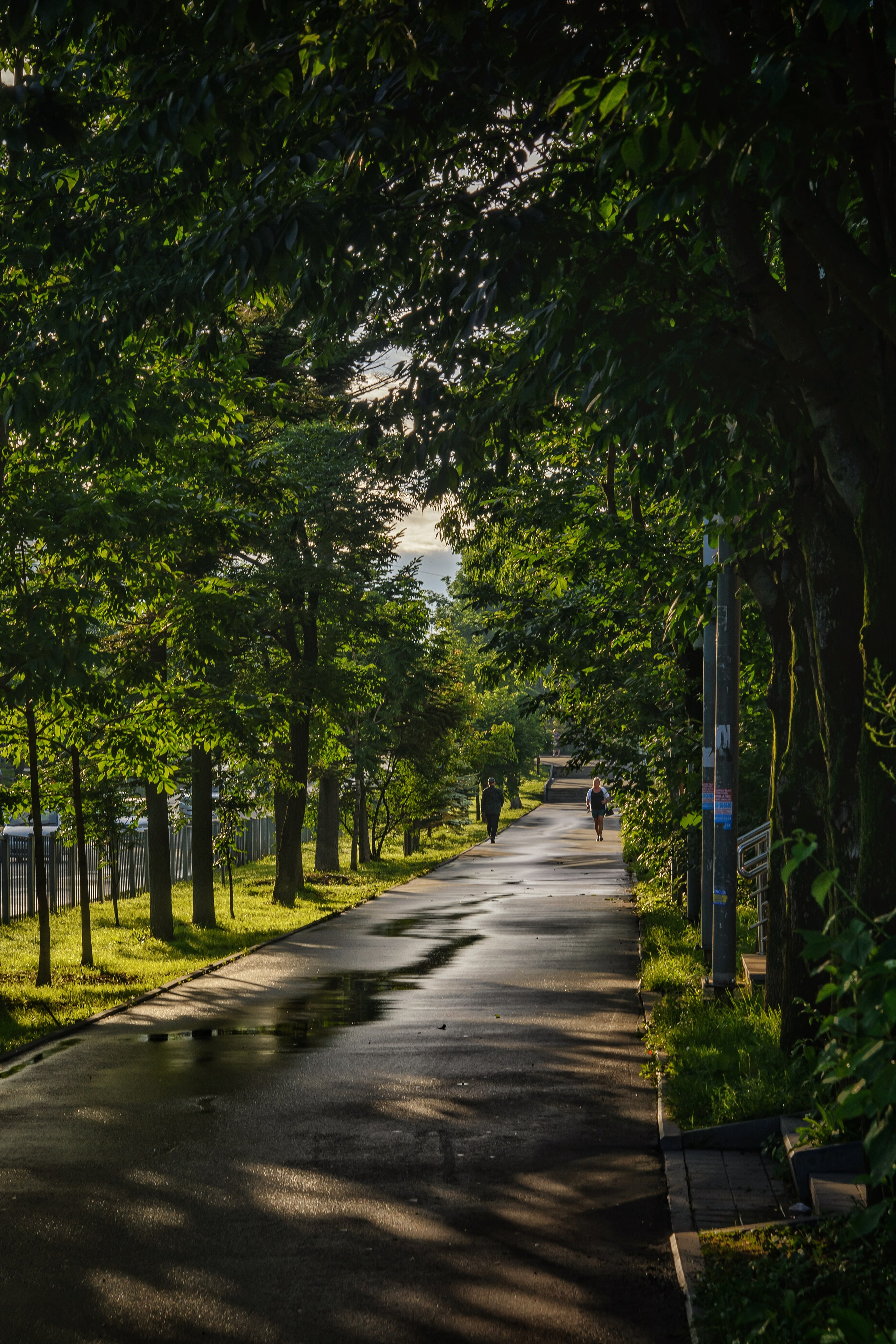 Пейзажи и дикая природа. Пейзажный и репортажный фотограф