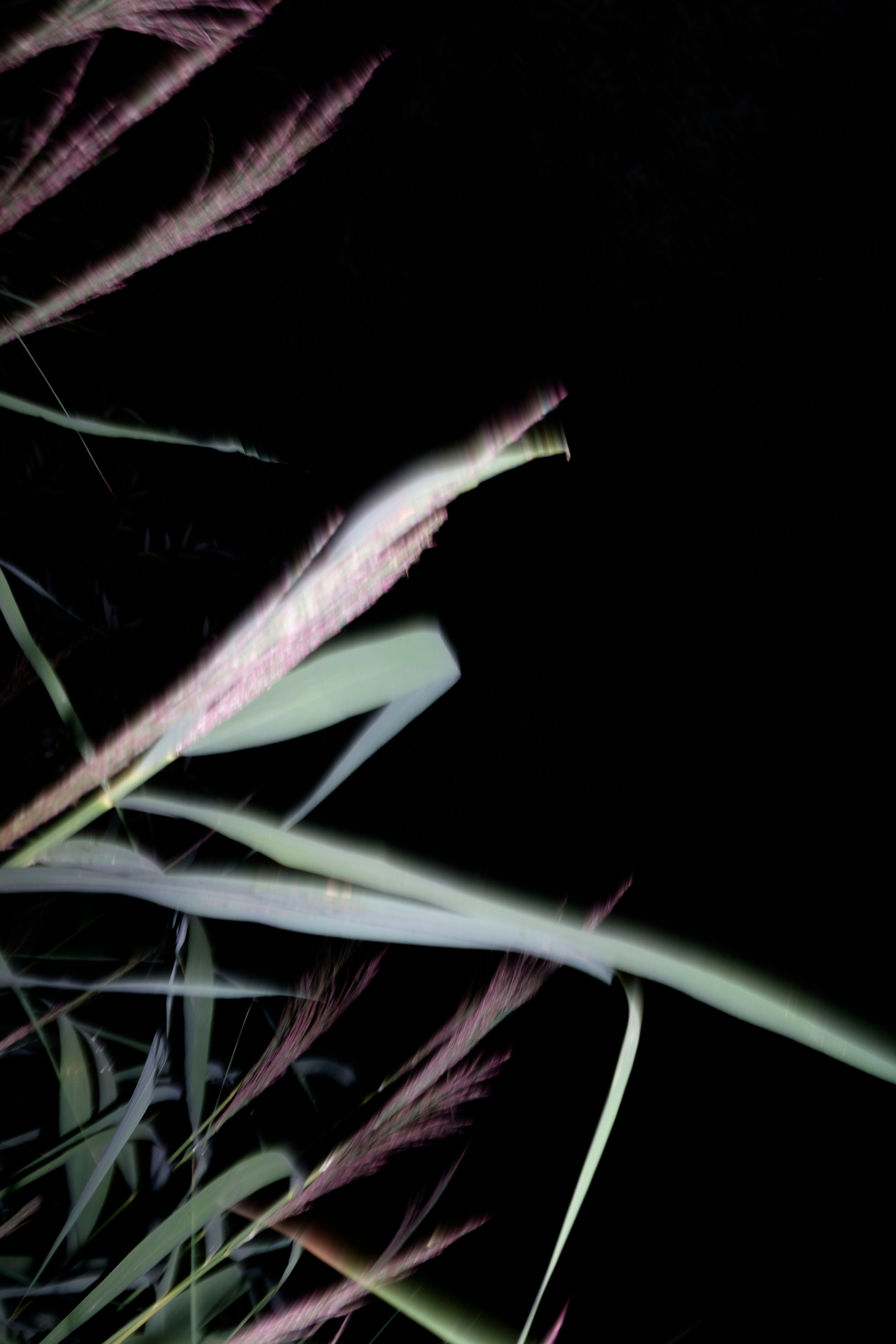 Ирина Ленькова художница