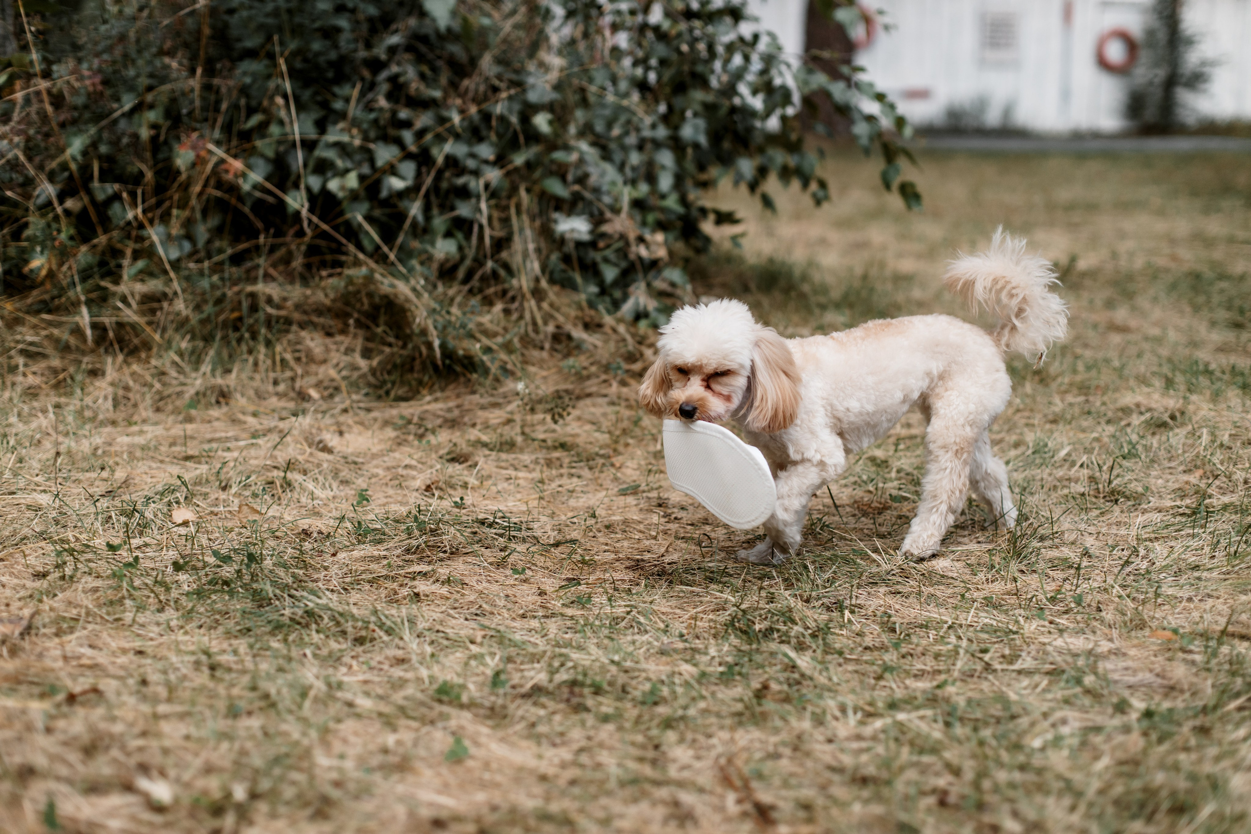 Alëna&Sergei. Свадебный и семейный фотограф Екатеринбург Настя Саедгалина