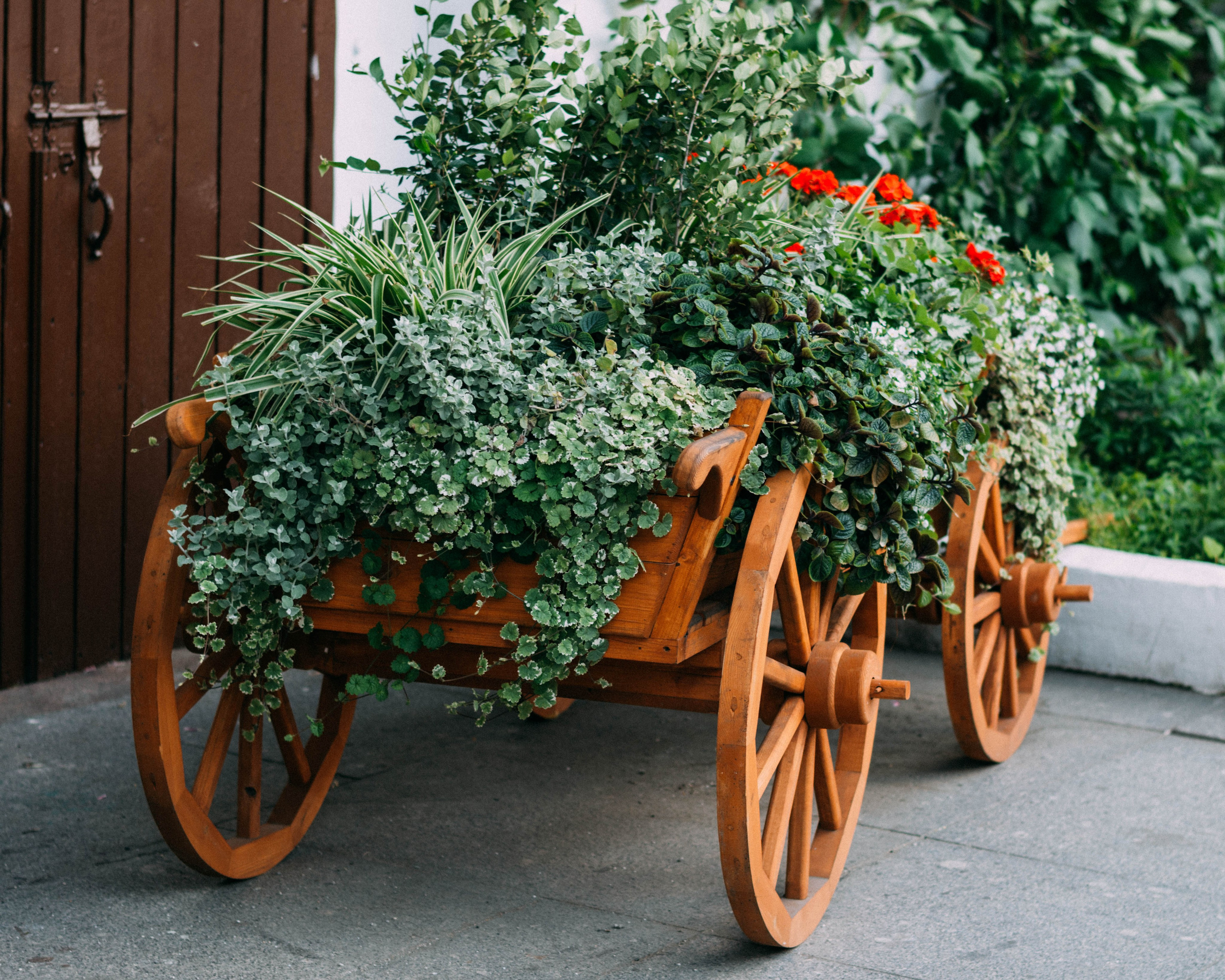 Уличная фотография каждый день