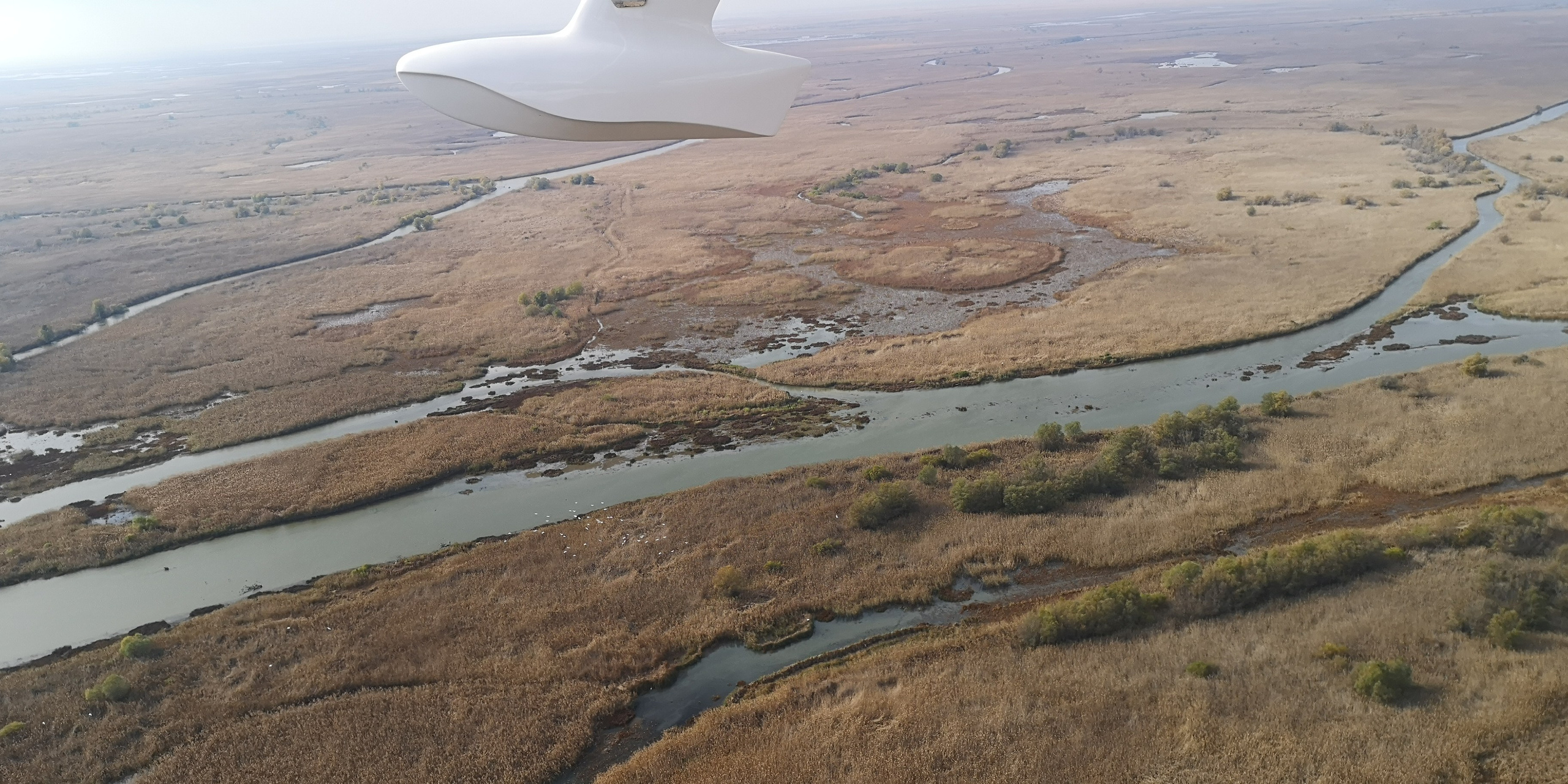 Каспийское море (наука на Ла-8) (2021 г.). Фотоальбом показывающий увлекательный мир авиации и мир медведей Андрея Иванова